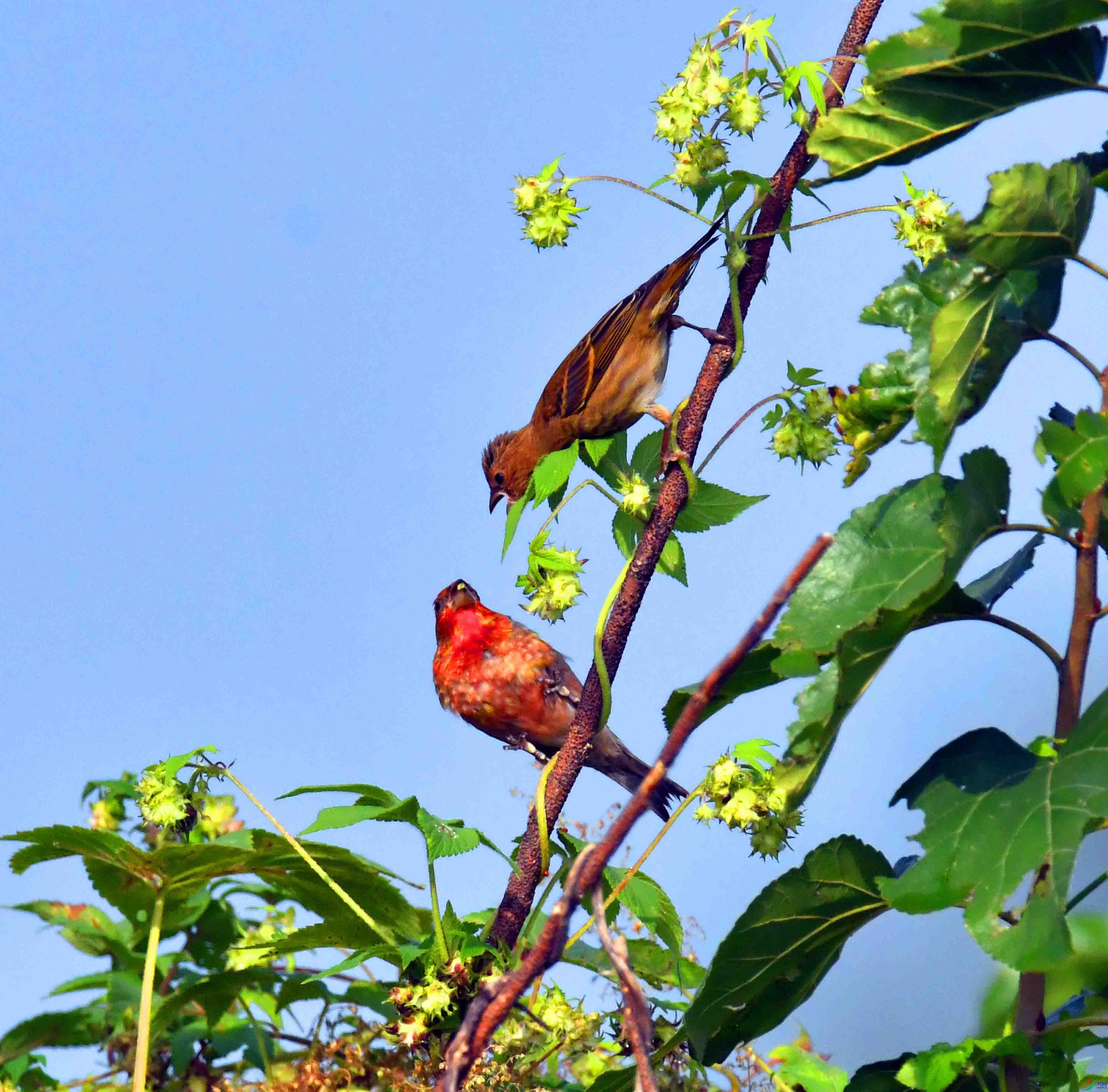 DSC_3648.JPG
