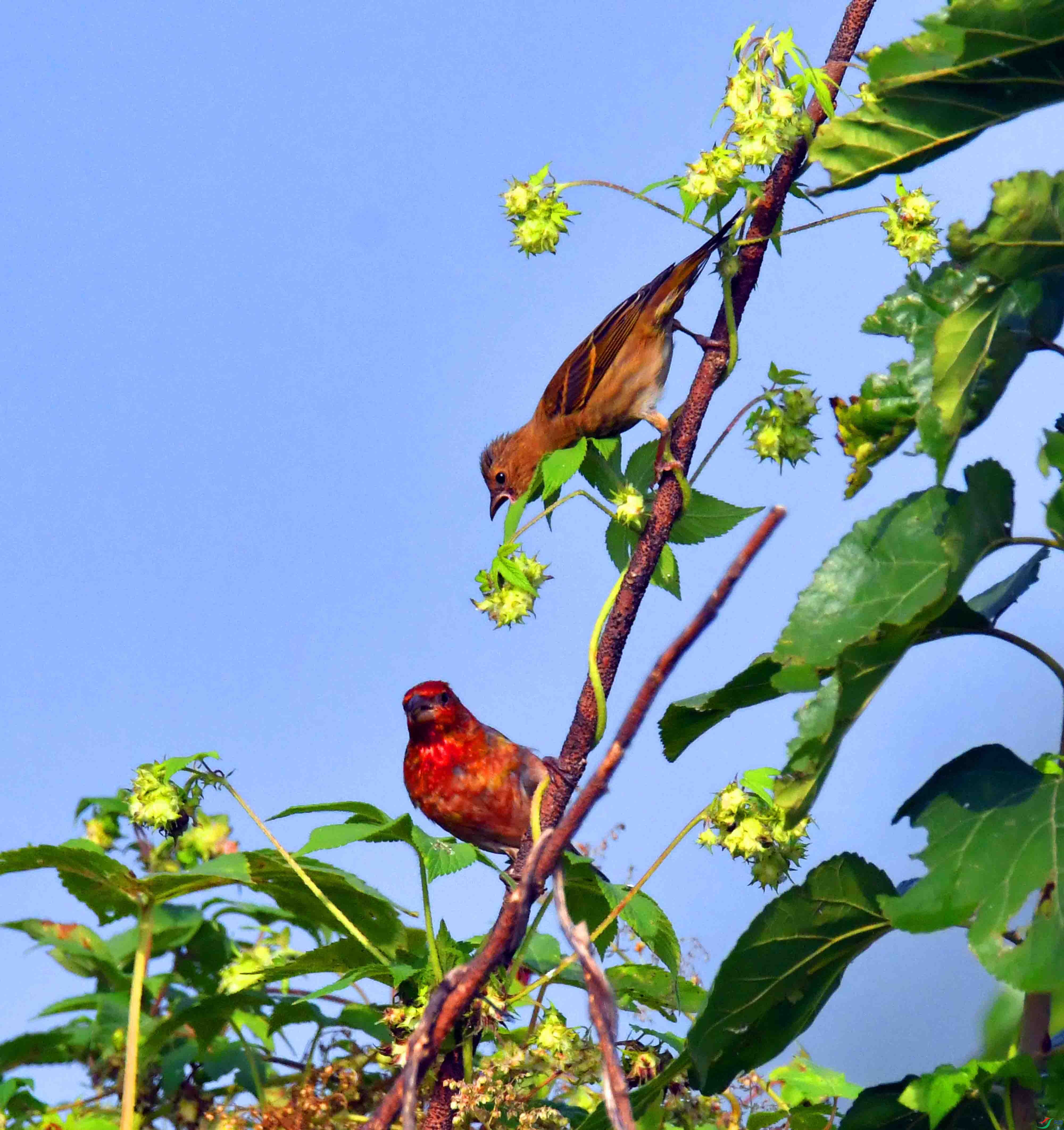 DSC_3649.JPG