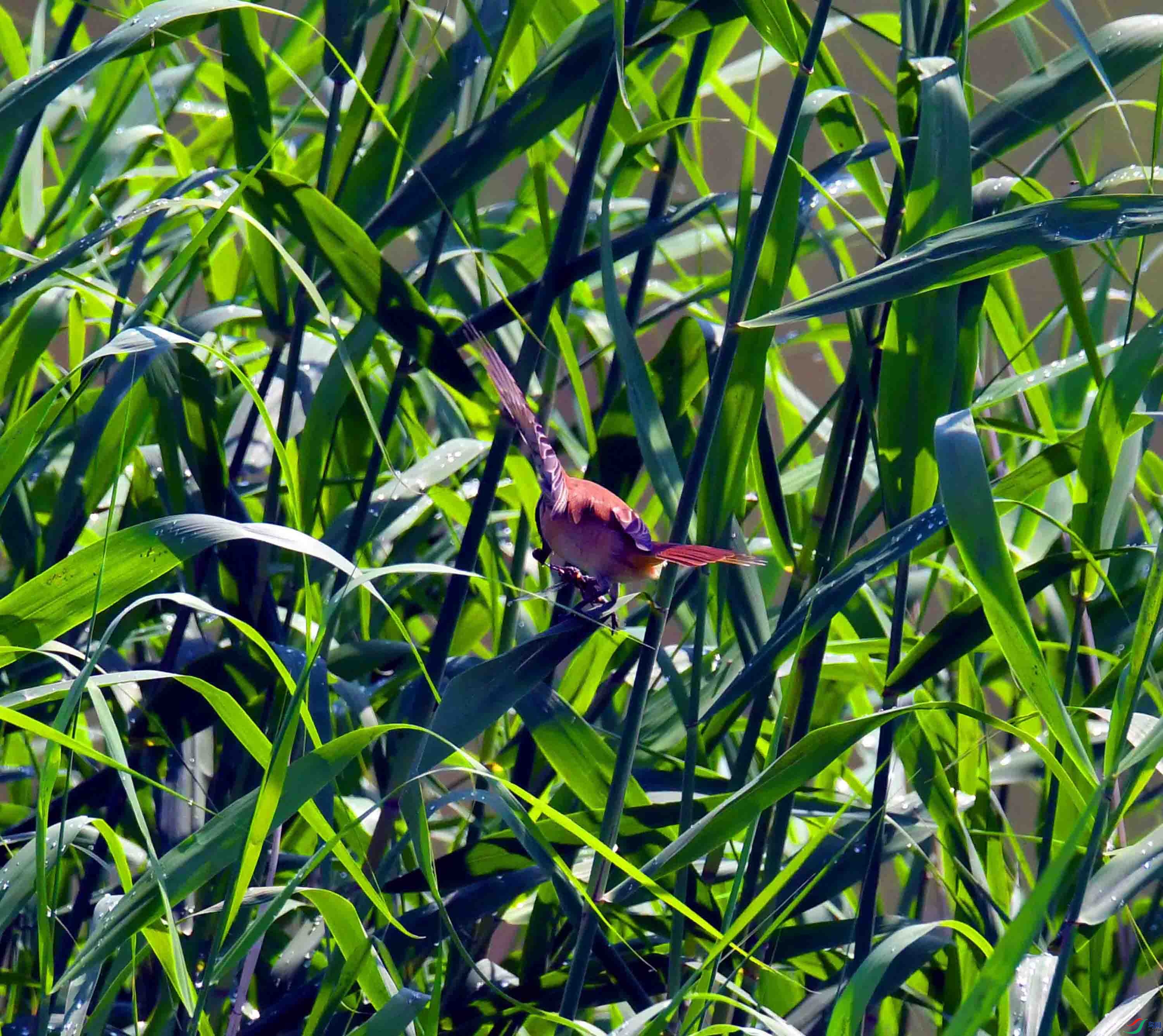 DSC_5723.JPG