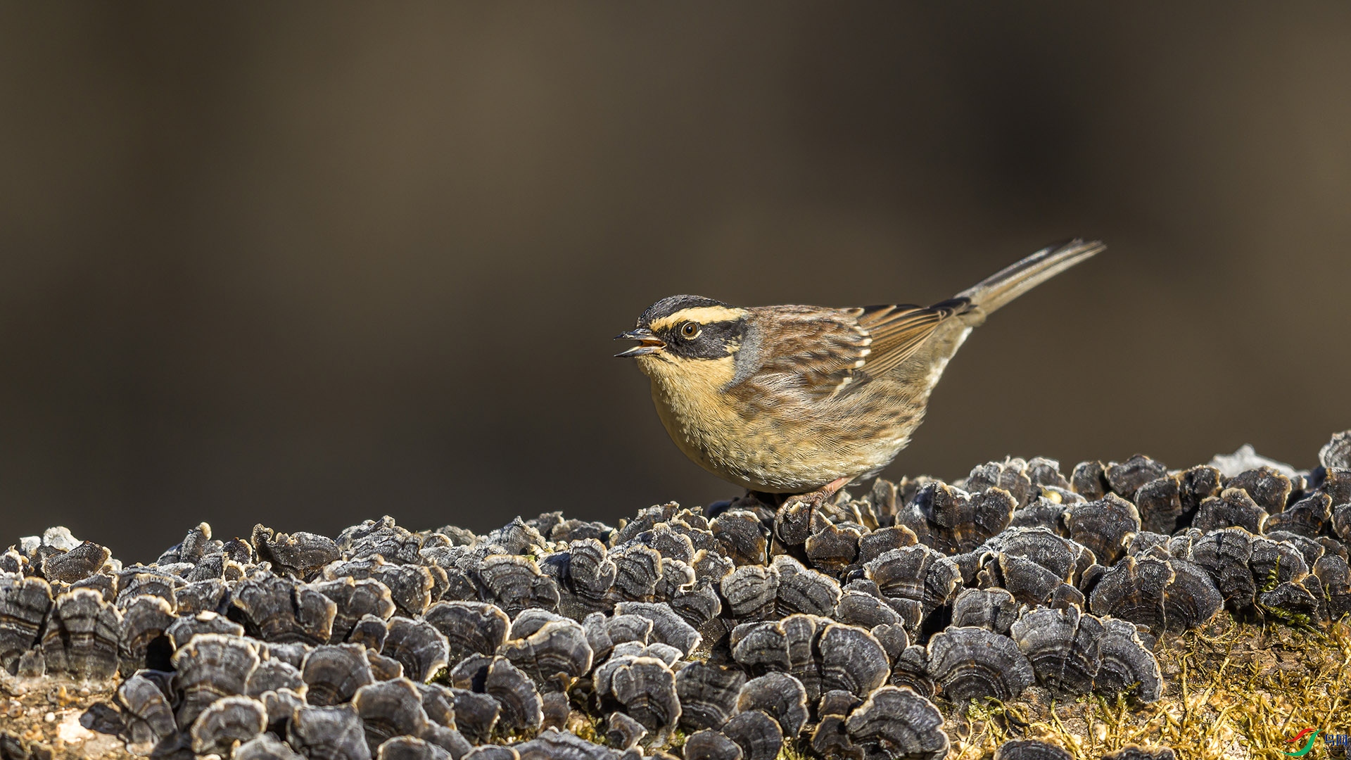 051A6989 ����n.jpg