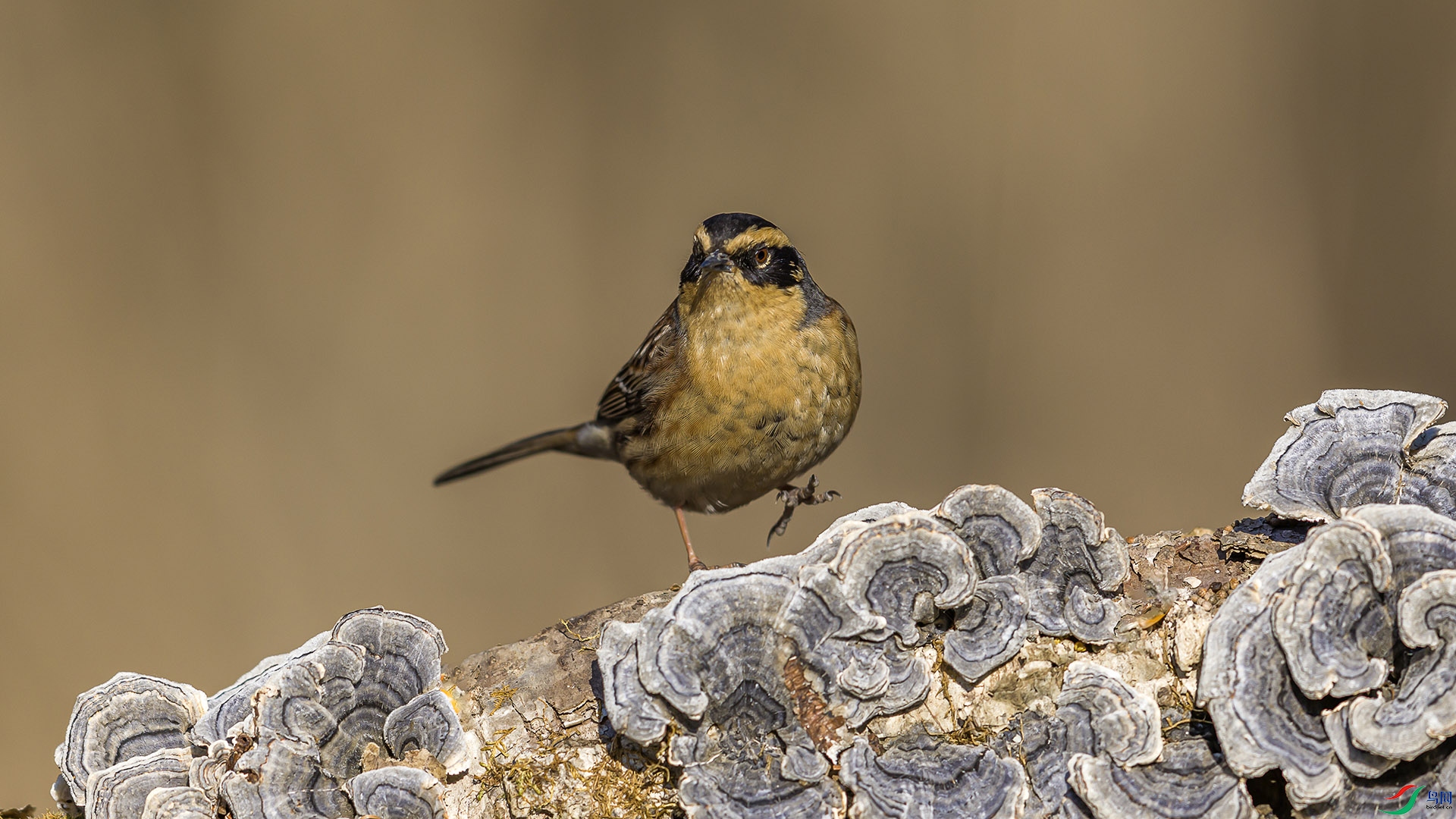 051A7241 ����n.jpg