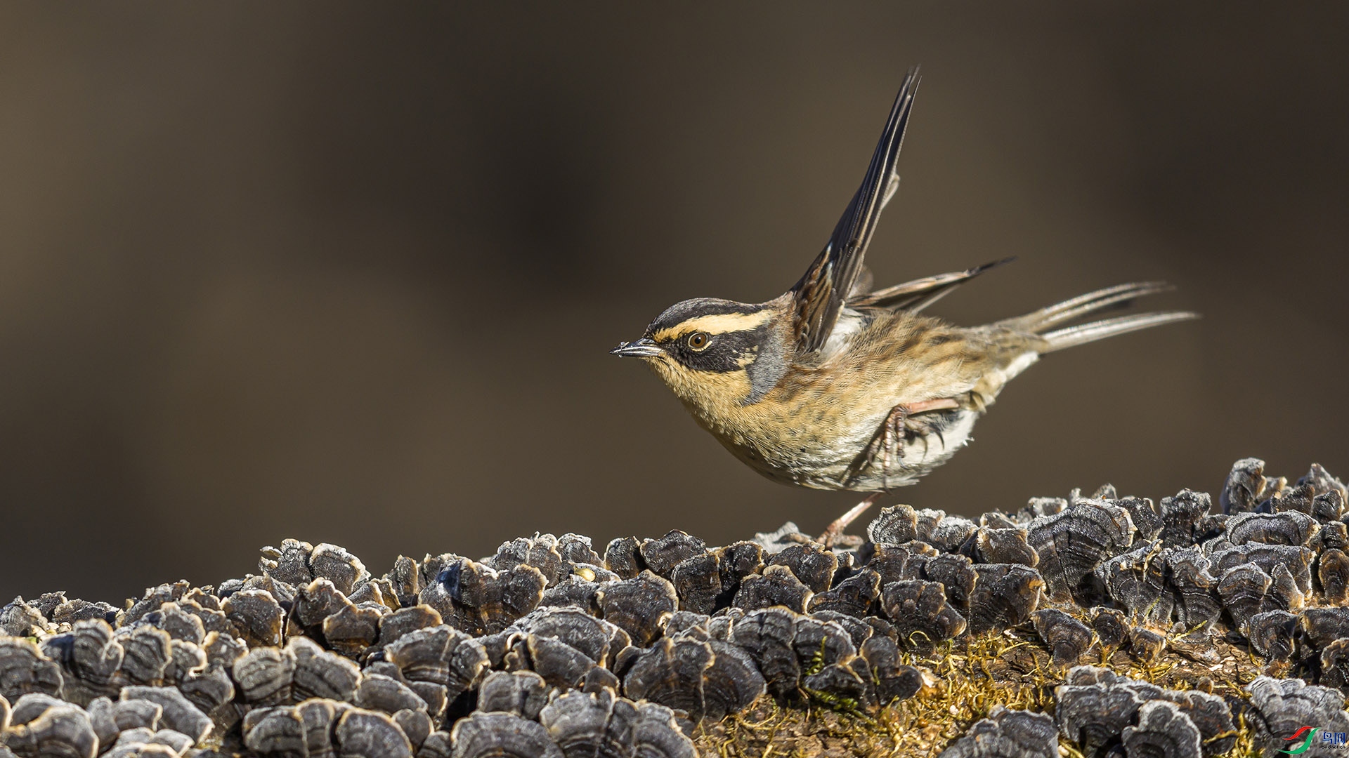 051A6798 ����n.jpg