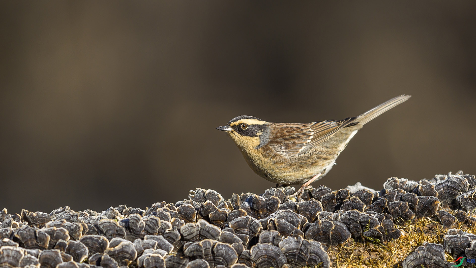 051A6840 ����n.jpg