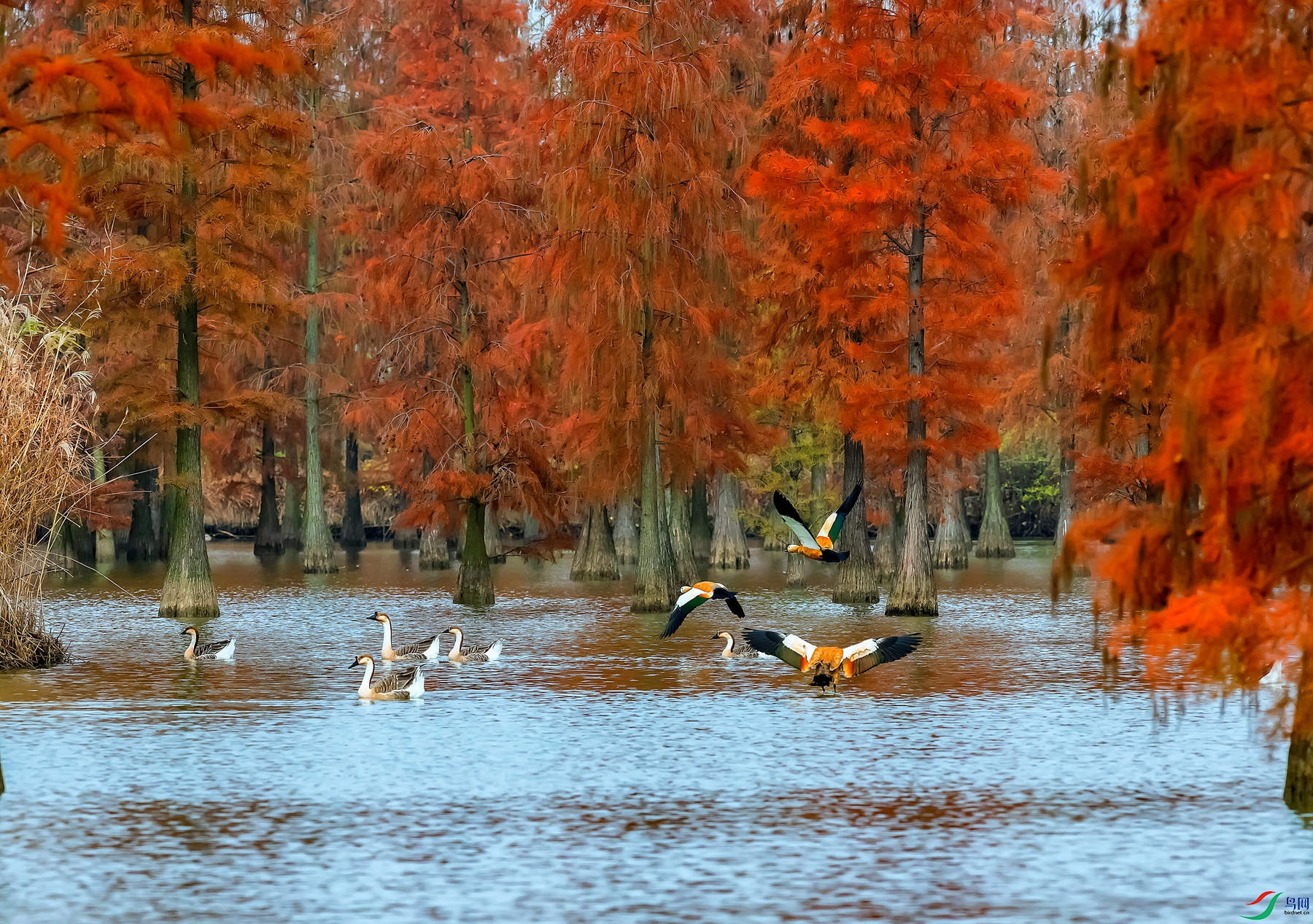DSC_0611.jpg