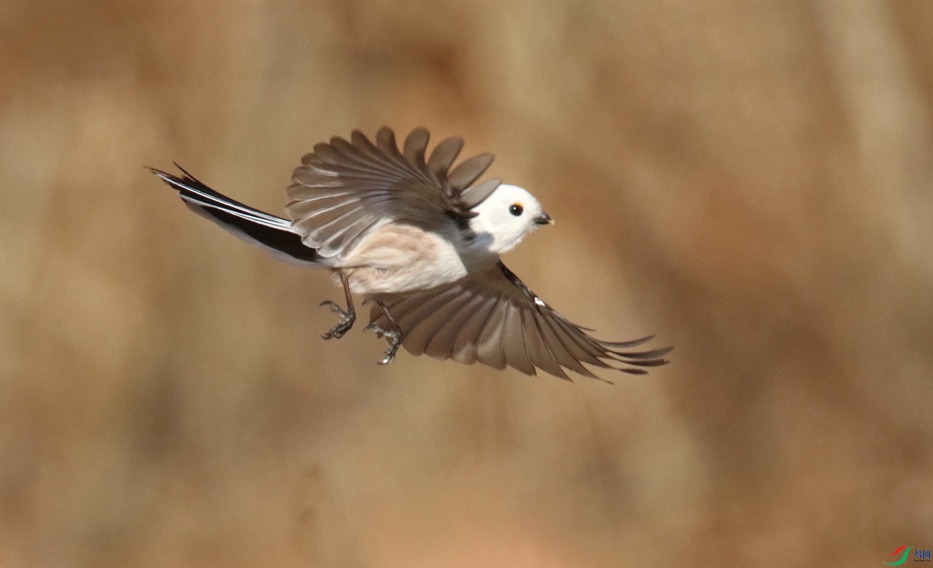 0G1A9961 ����.jpg