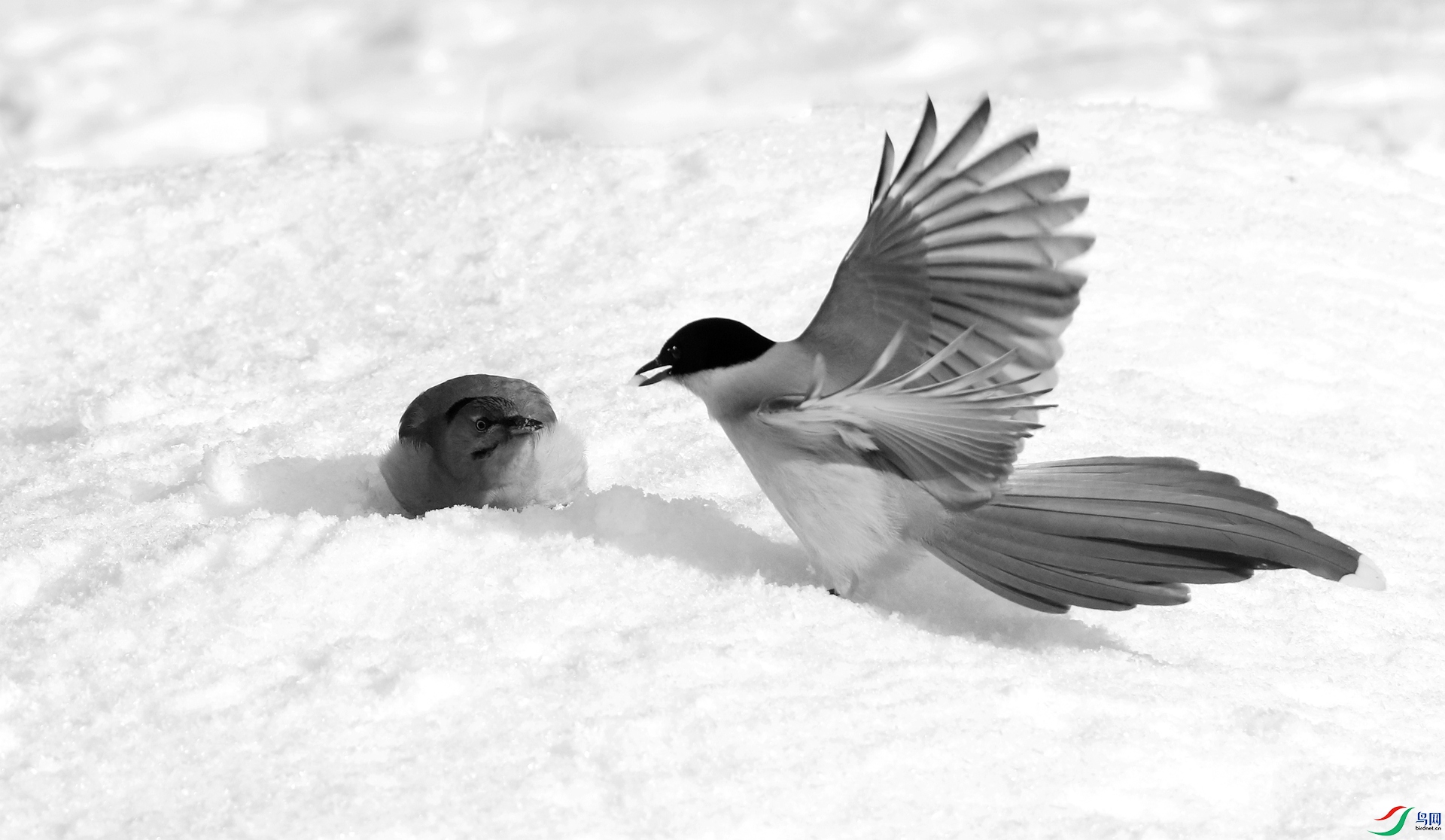 0G1A1593 ����.jpg