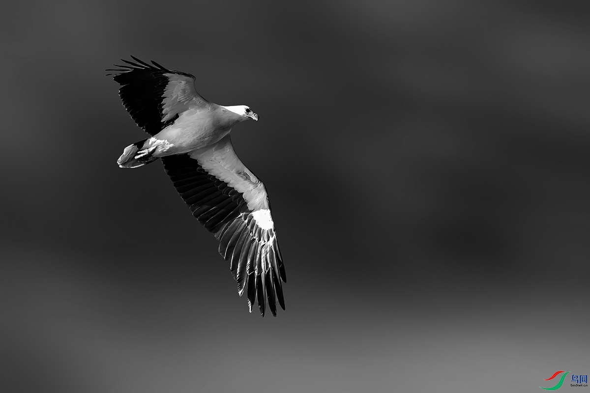 ��Ƭ 043���ڰף�.jpg