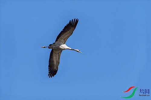DSC_1736.jpg