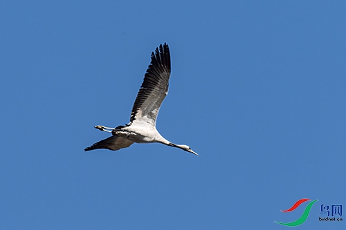 DSC_1740.jpg