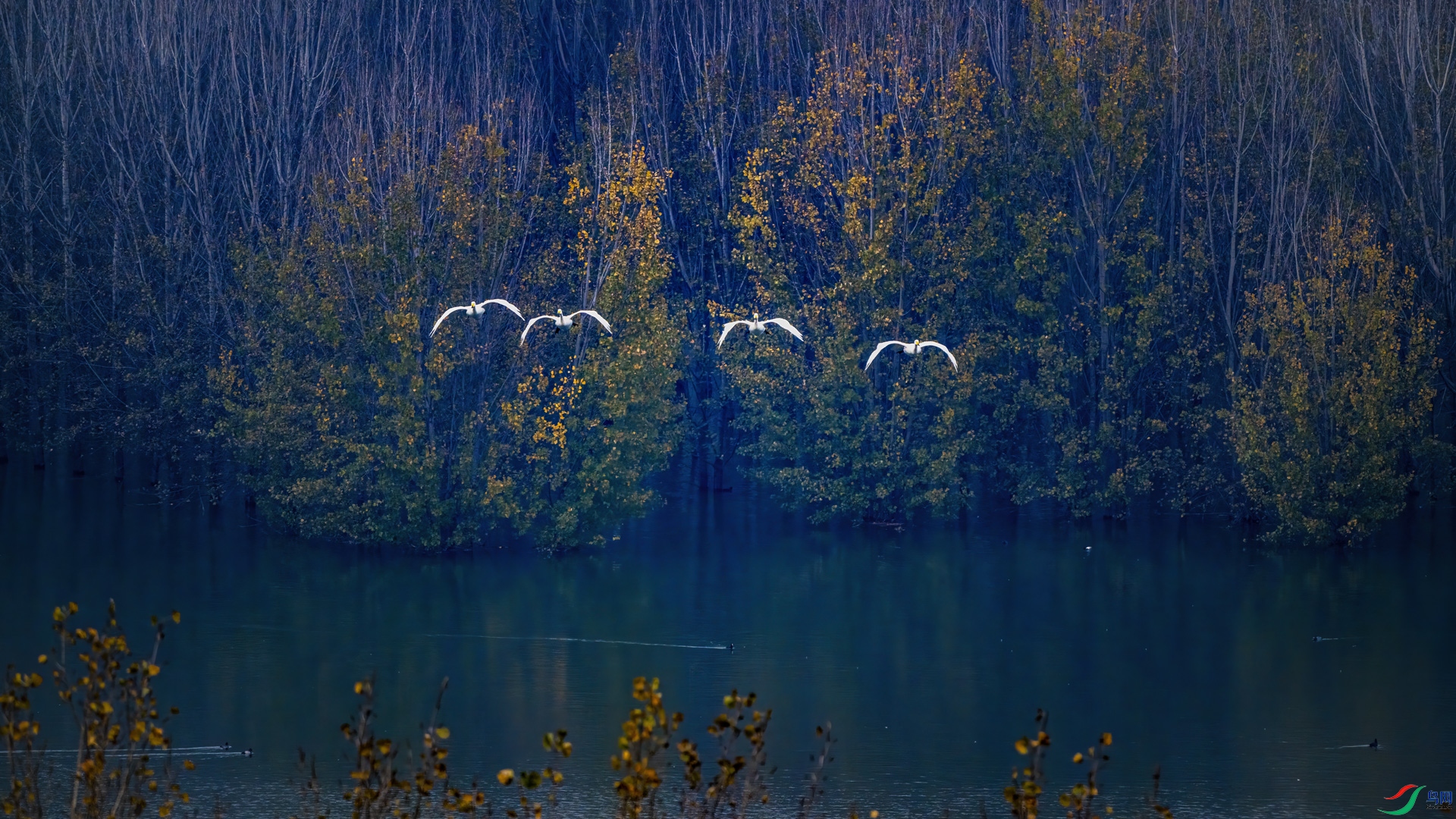 _DSC9836.jpg