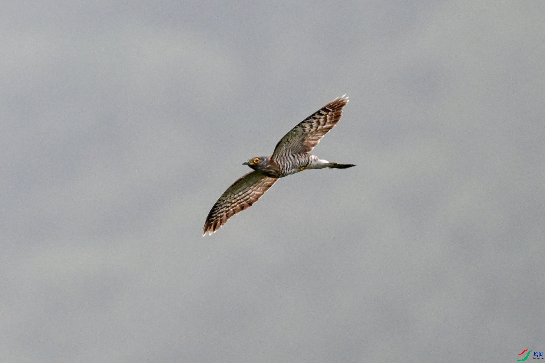 DSC_9439.JPG