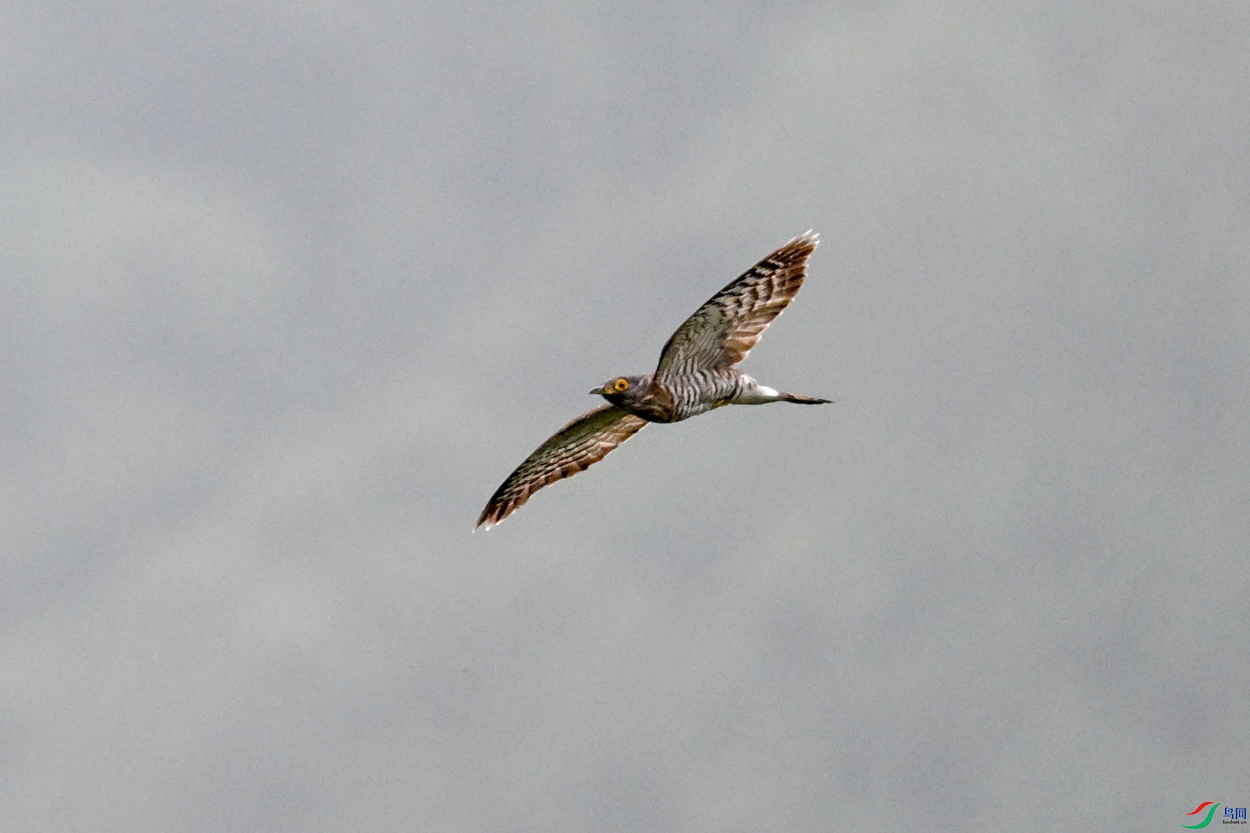 DSC_9438.JPG