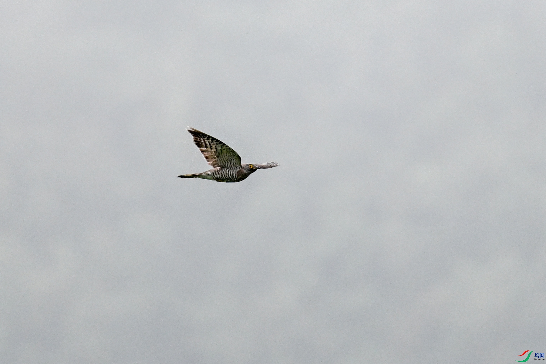 DSC_9428.JPG