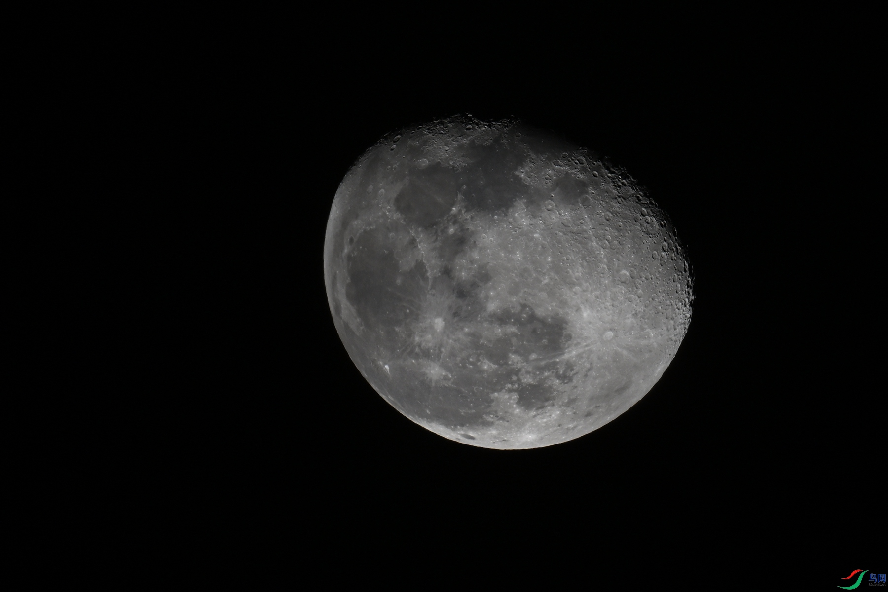 DSC_5239.JPG