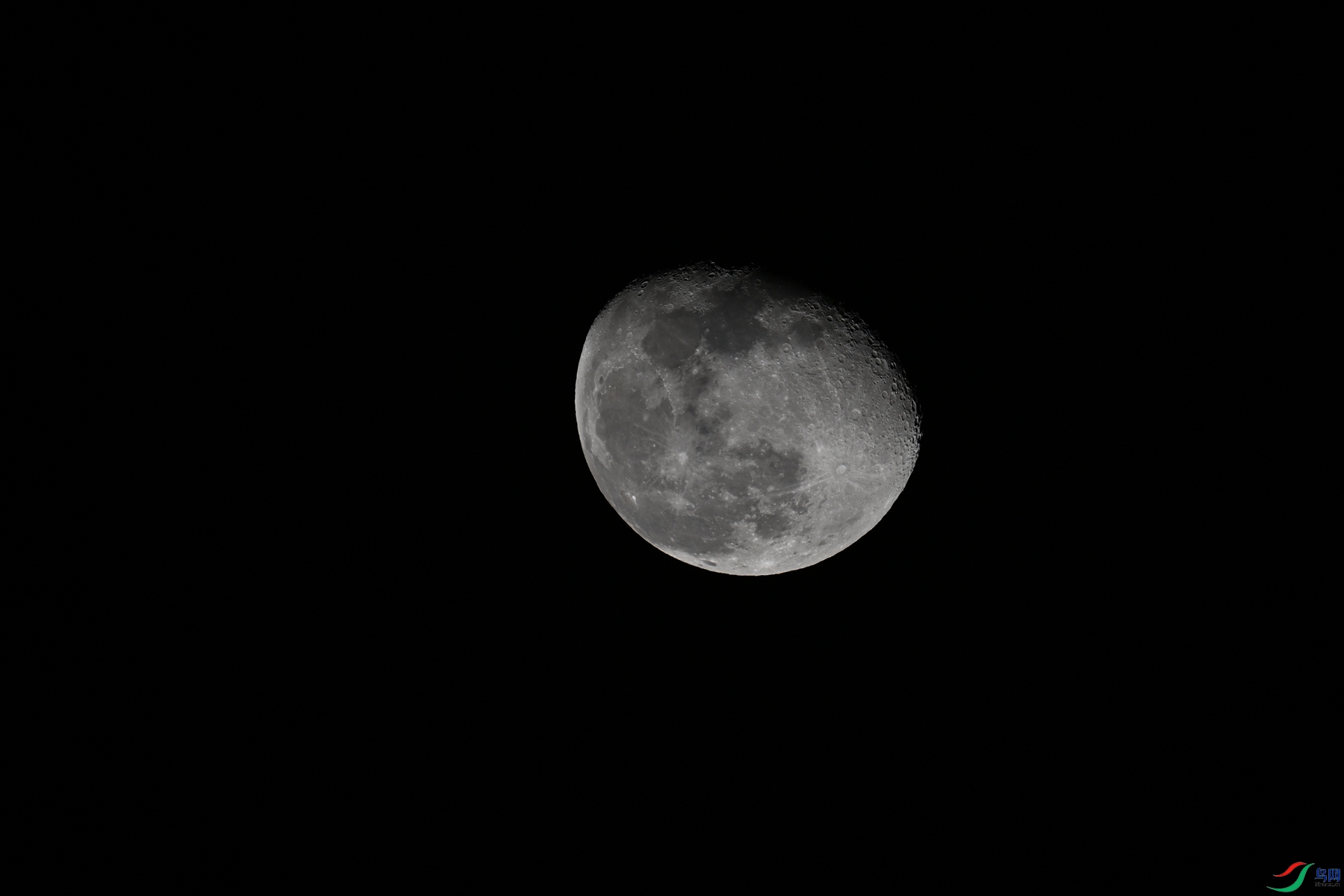 DSC_5232.JPG