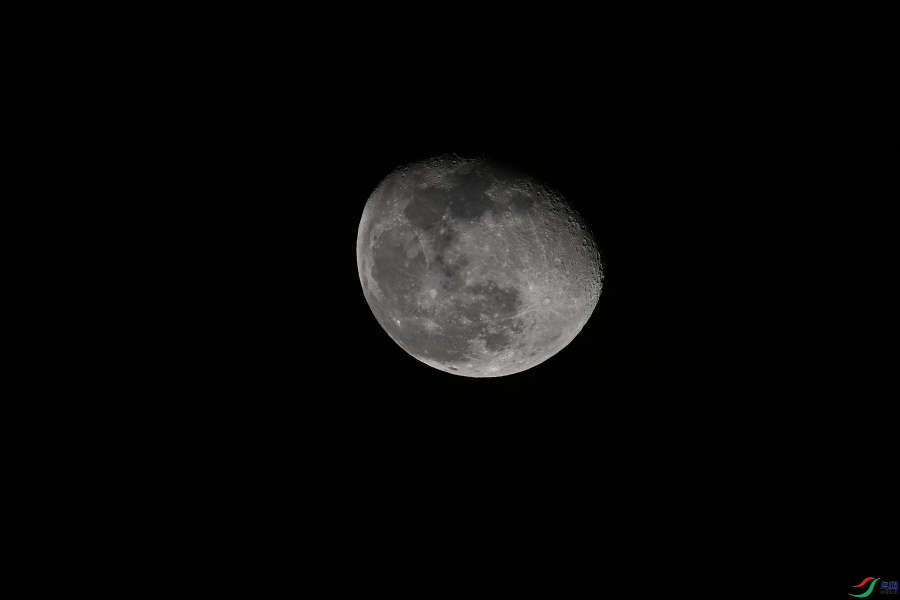 DSC_5234.JPG