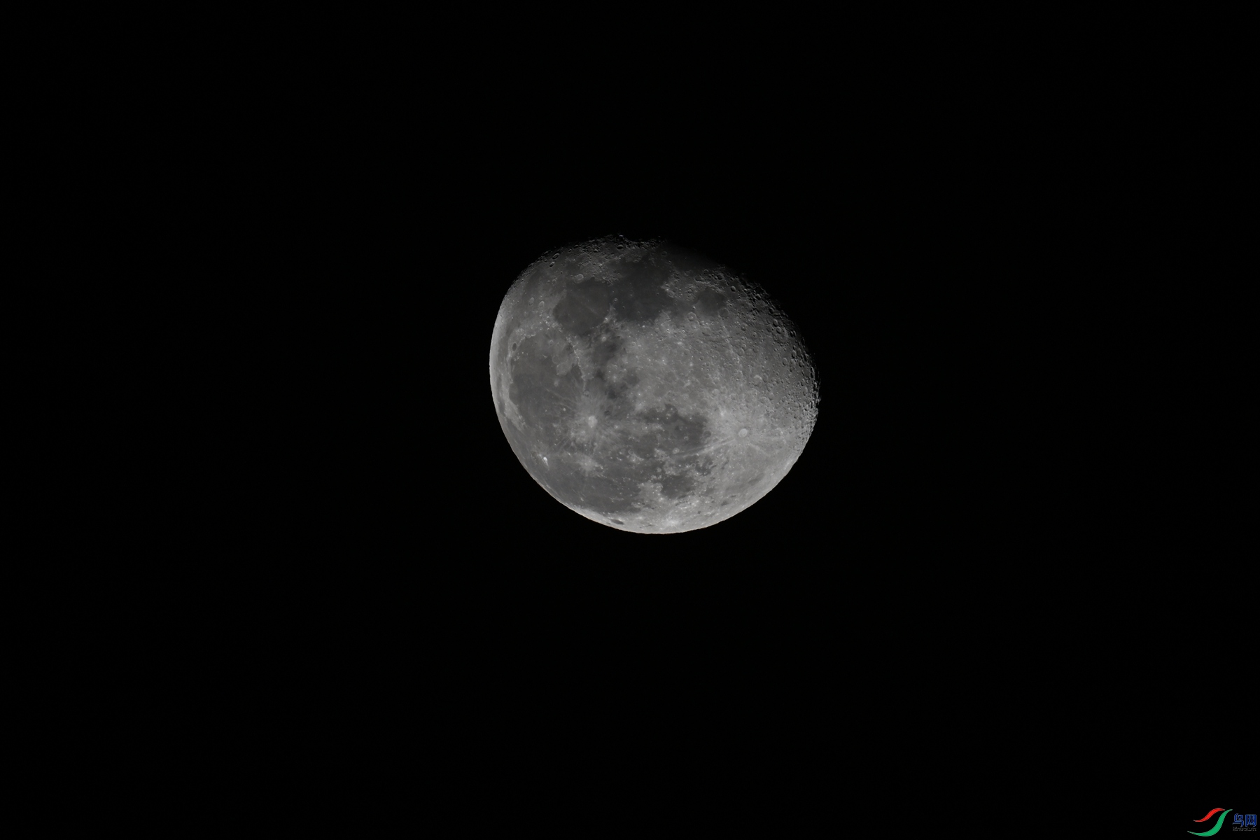 DSC_5235.JPG