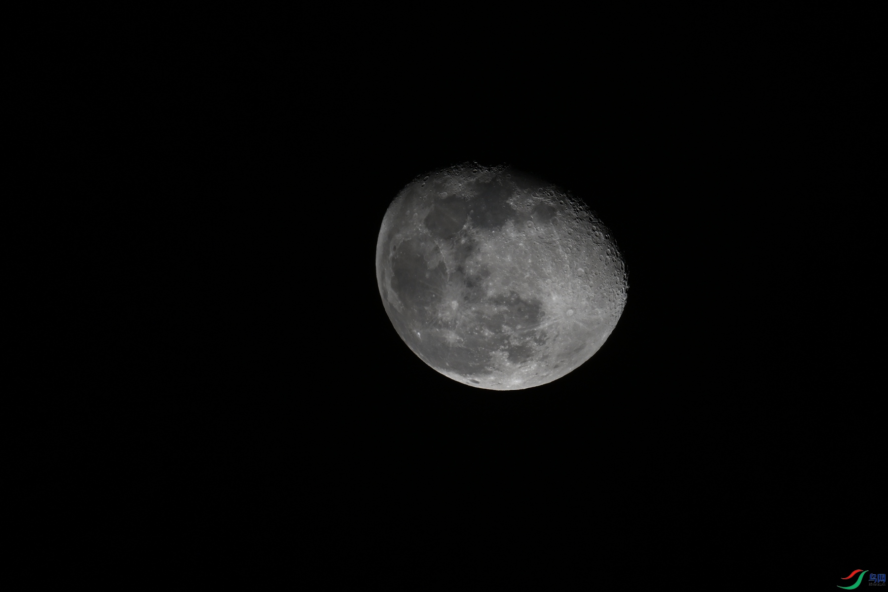 DSC_5237.JPG