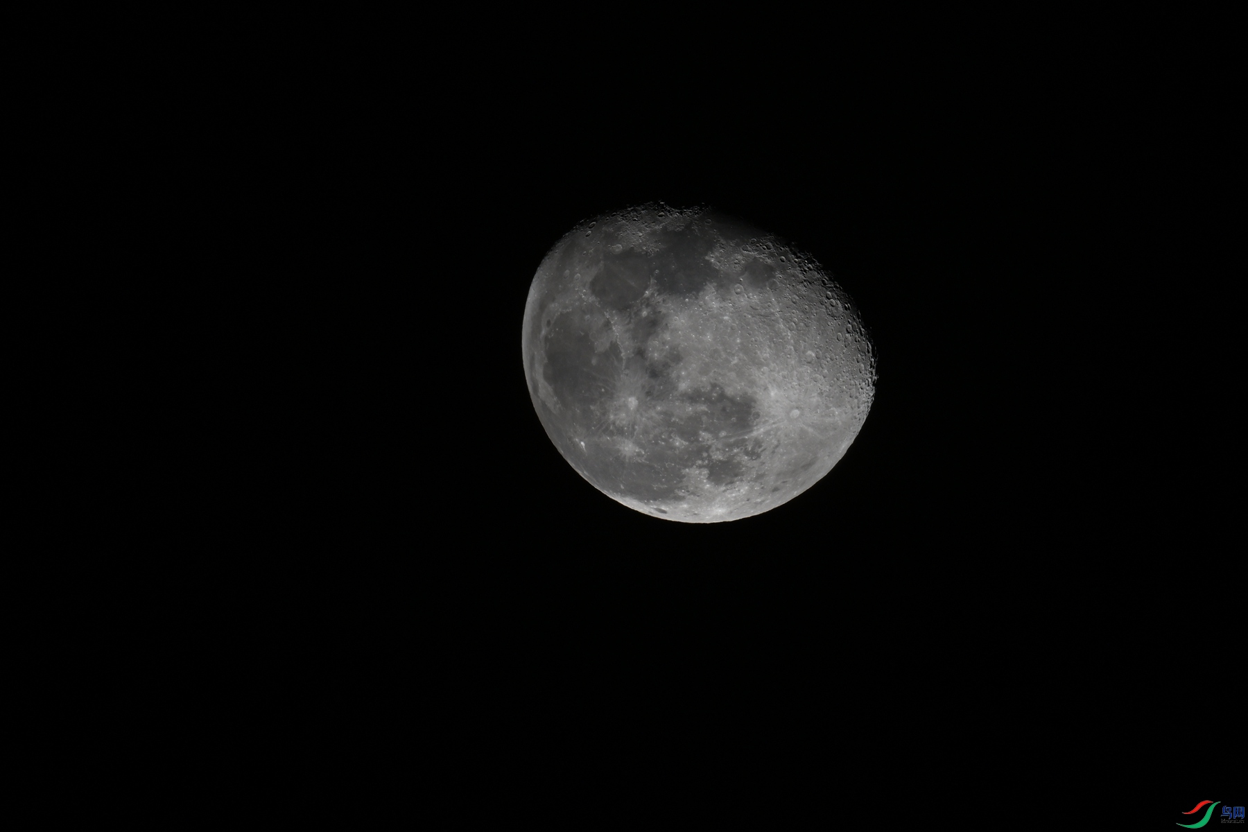 DSC_5238.JPG