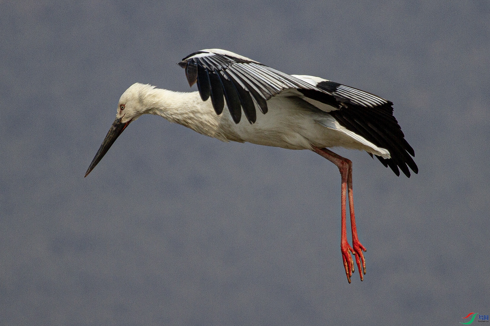 _MG_3645 ���� 2.jpg