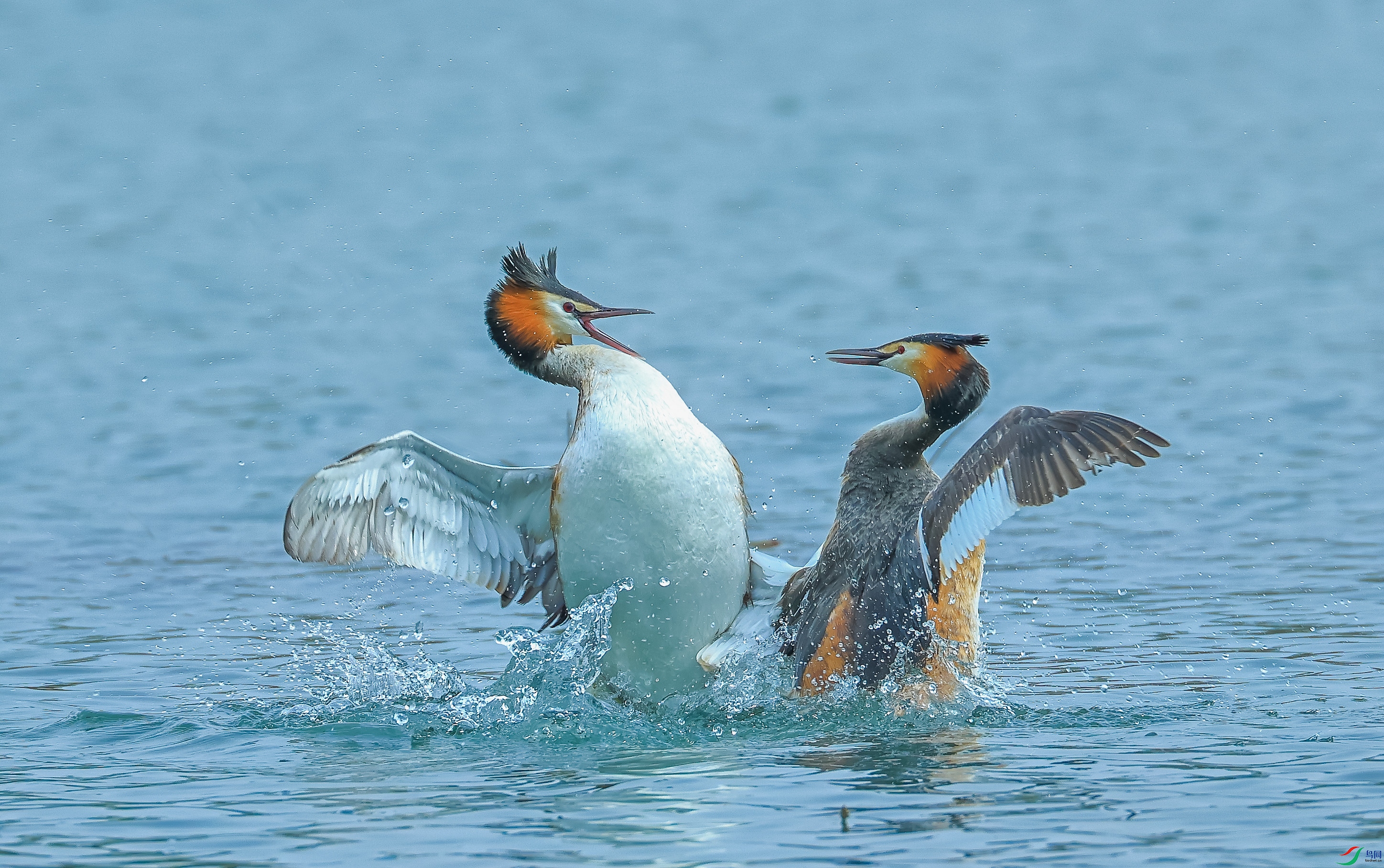 L10A0010 ����.jpg