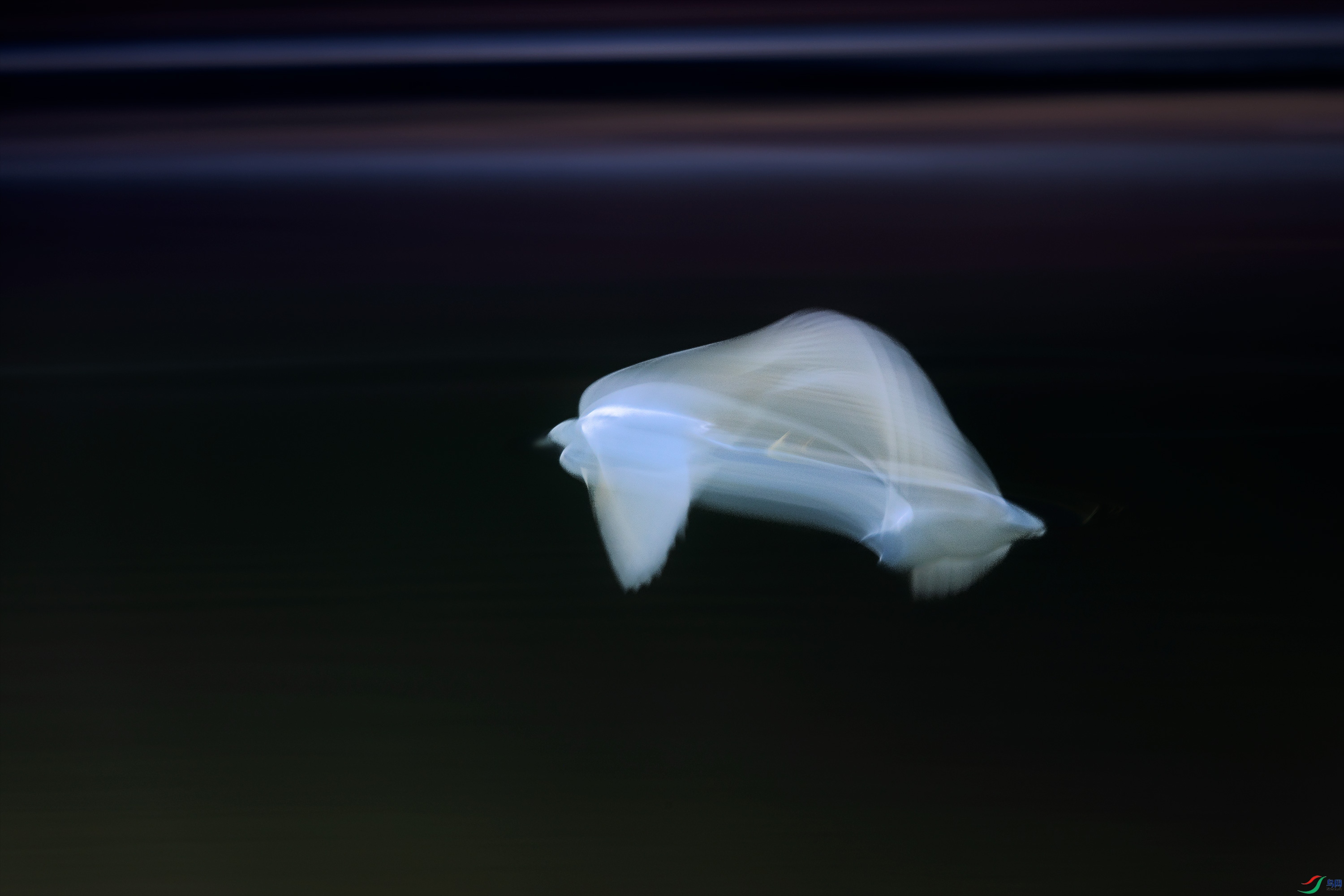 278A3172.jpg