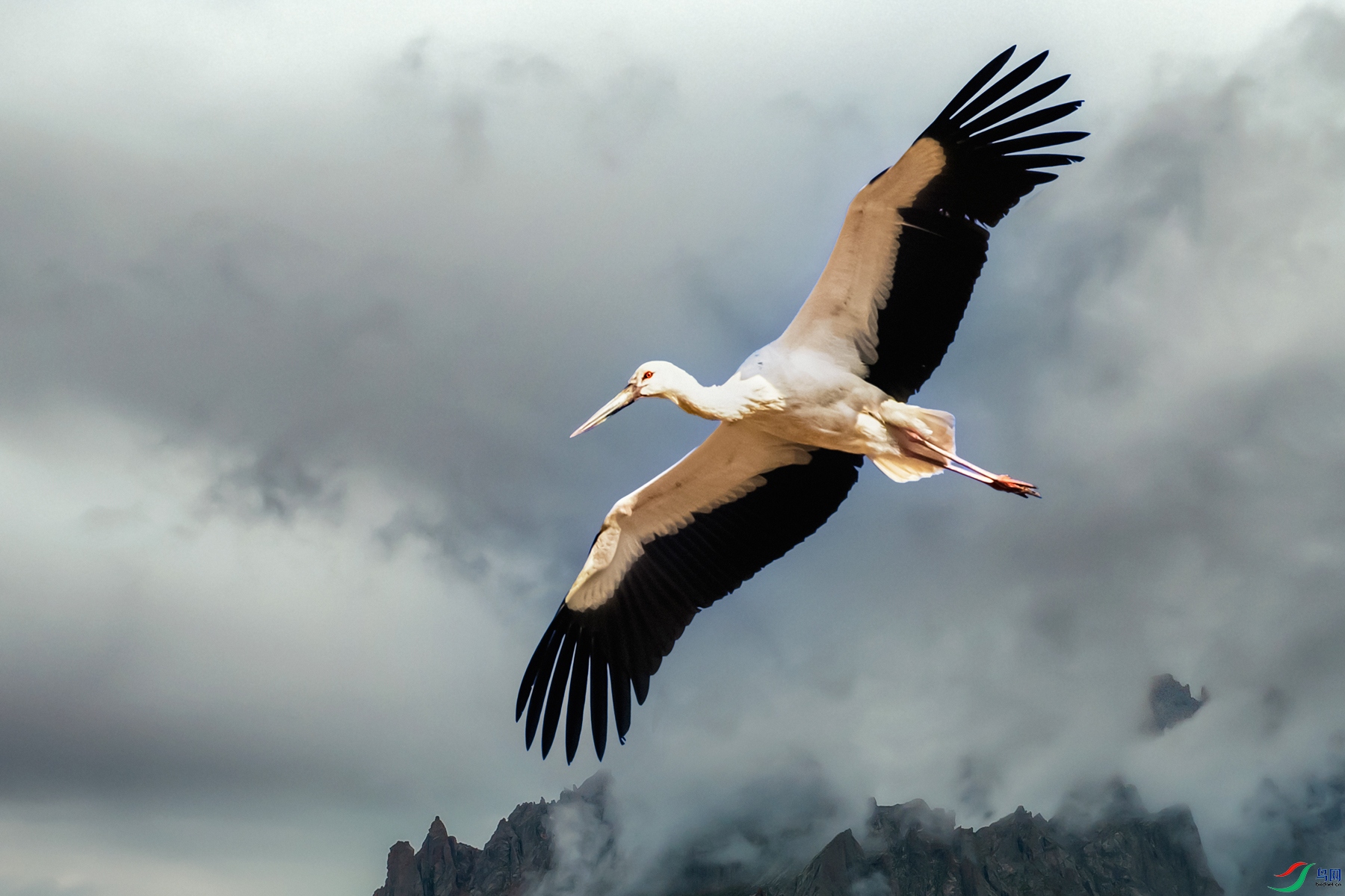 ��������----���۹��������