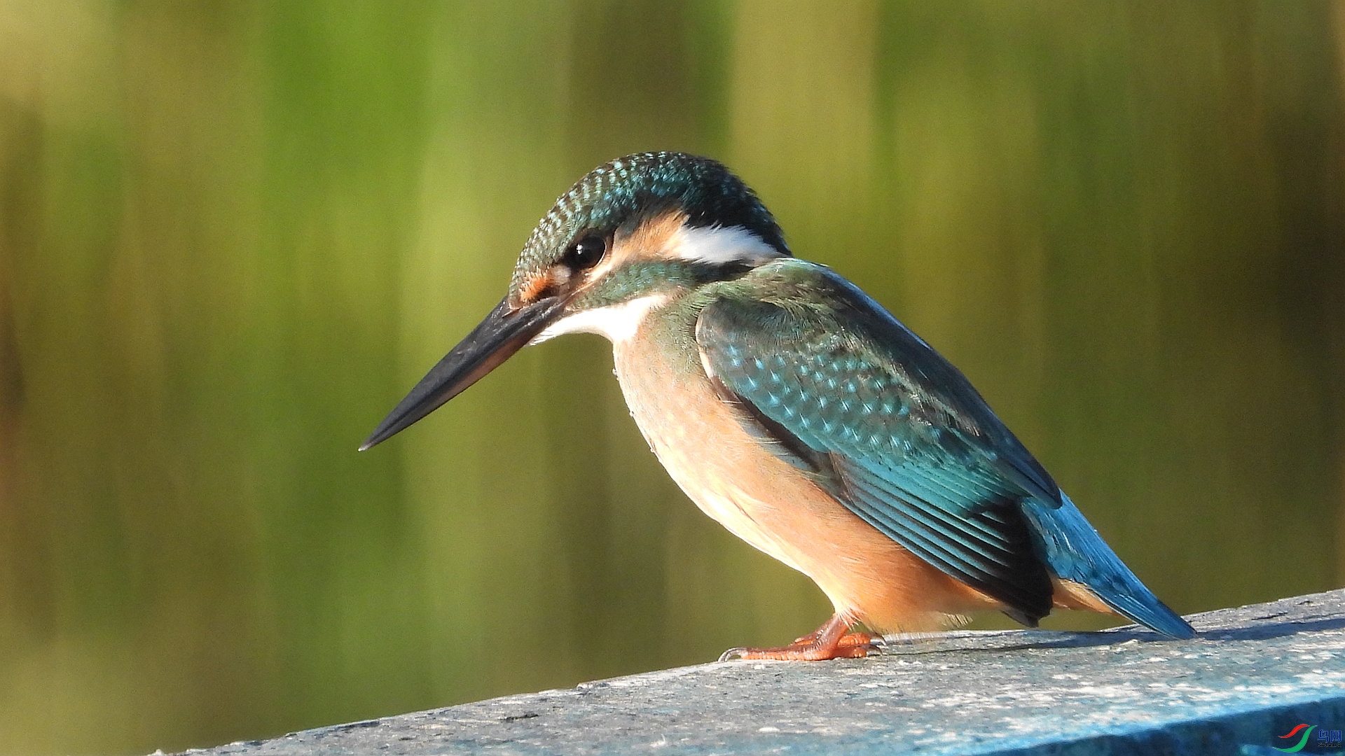 ��ͨ����