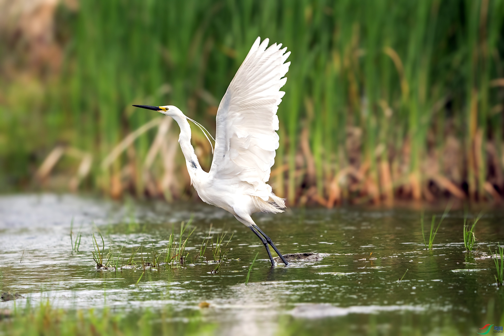 DSC03541 ����.jpg