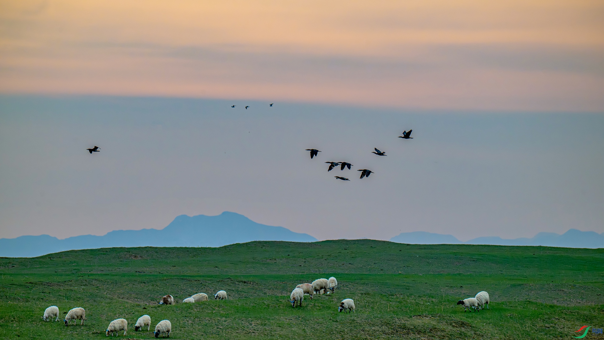 _DSC0123 ����_����.jpg