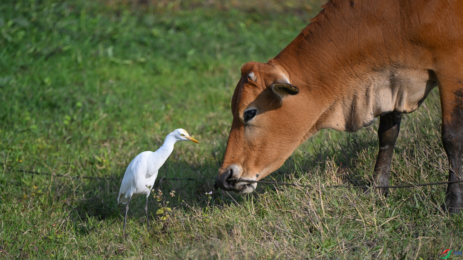 DSC_5040sen2025-1-23-11-�༭.jpg