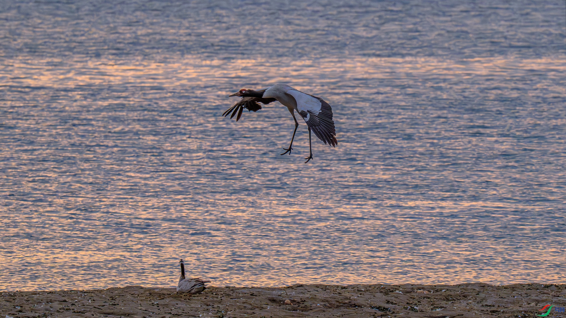 _DSC8401 ����_����.jpg