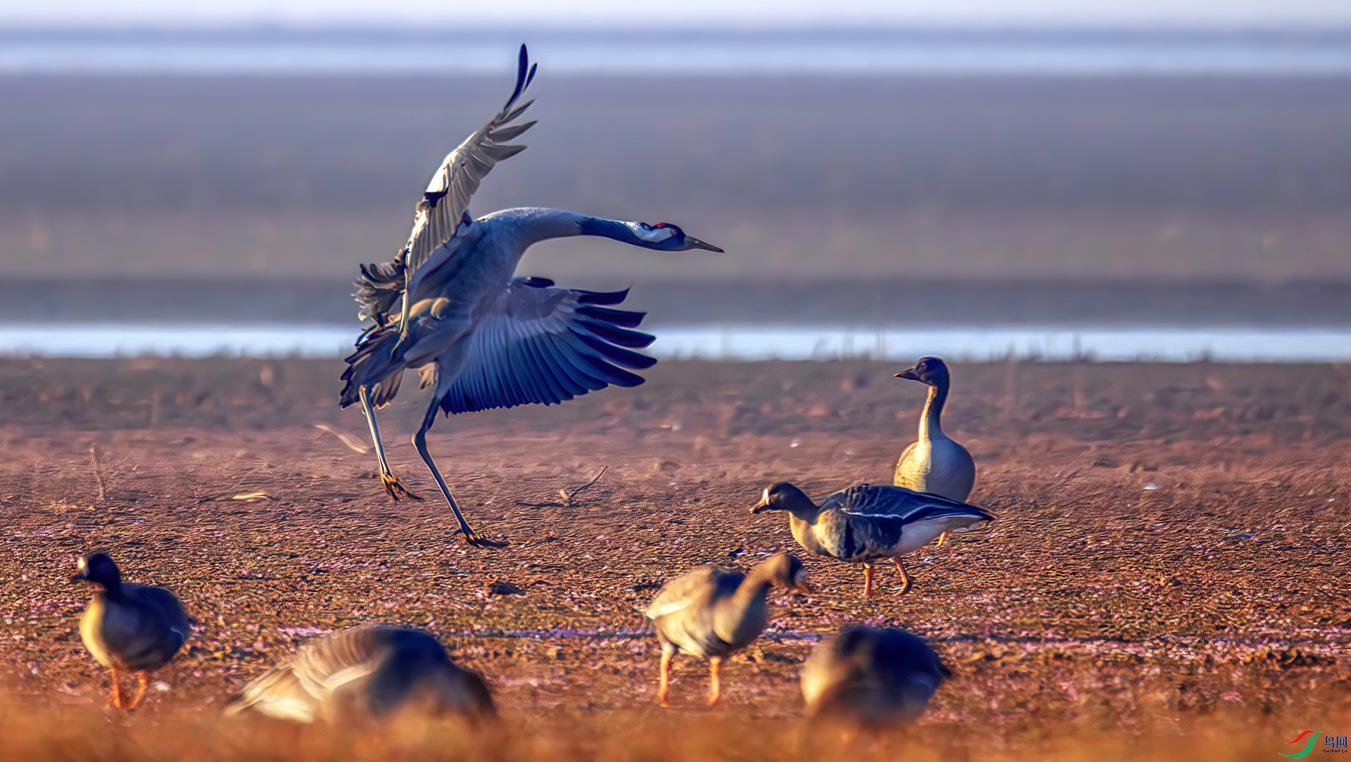 407A7277-----22  .jpg