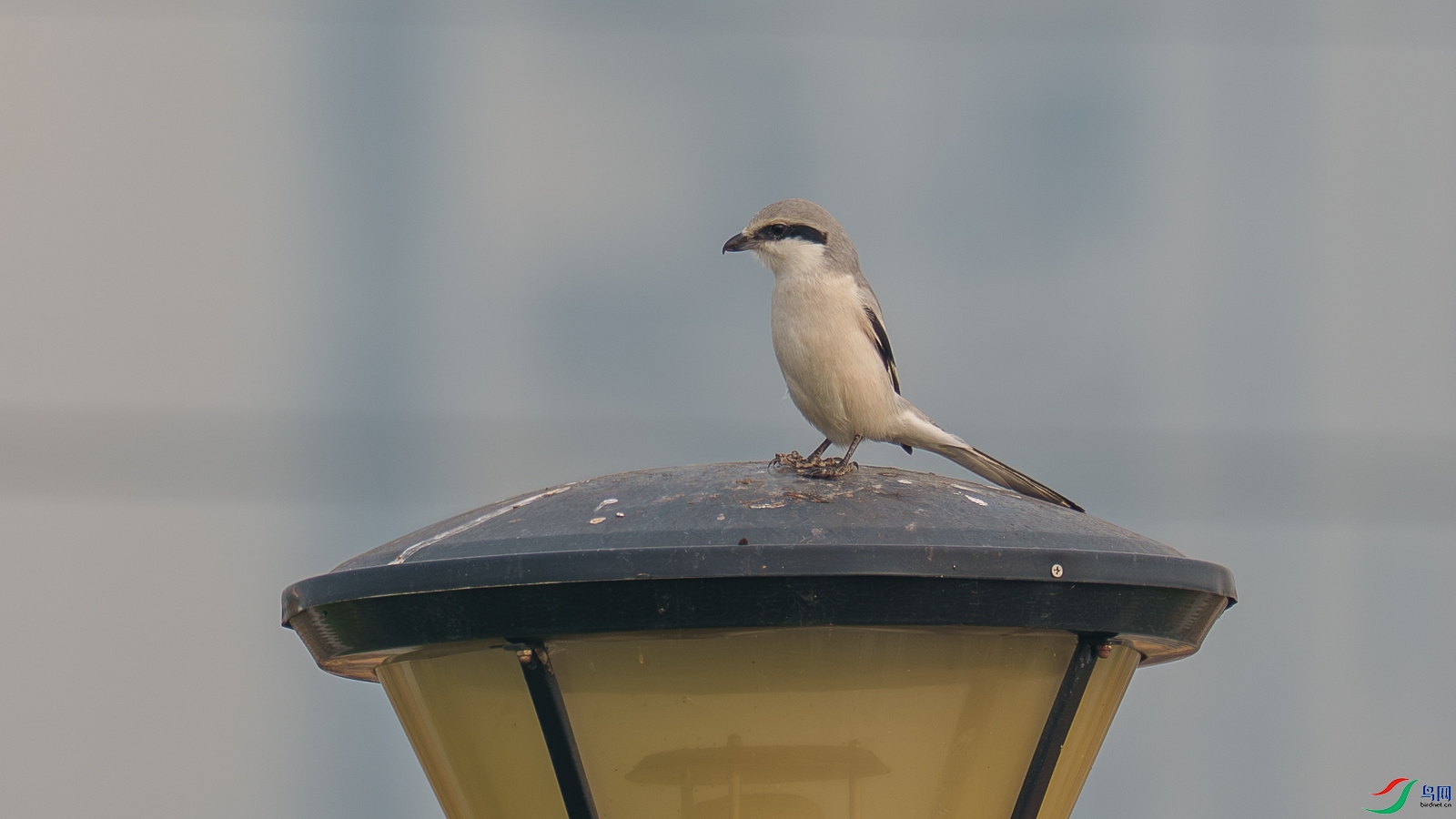 DSC02101.jpg