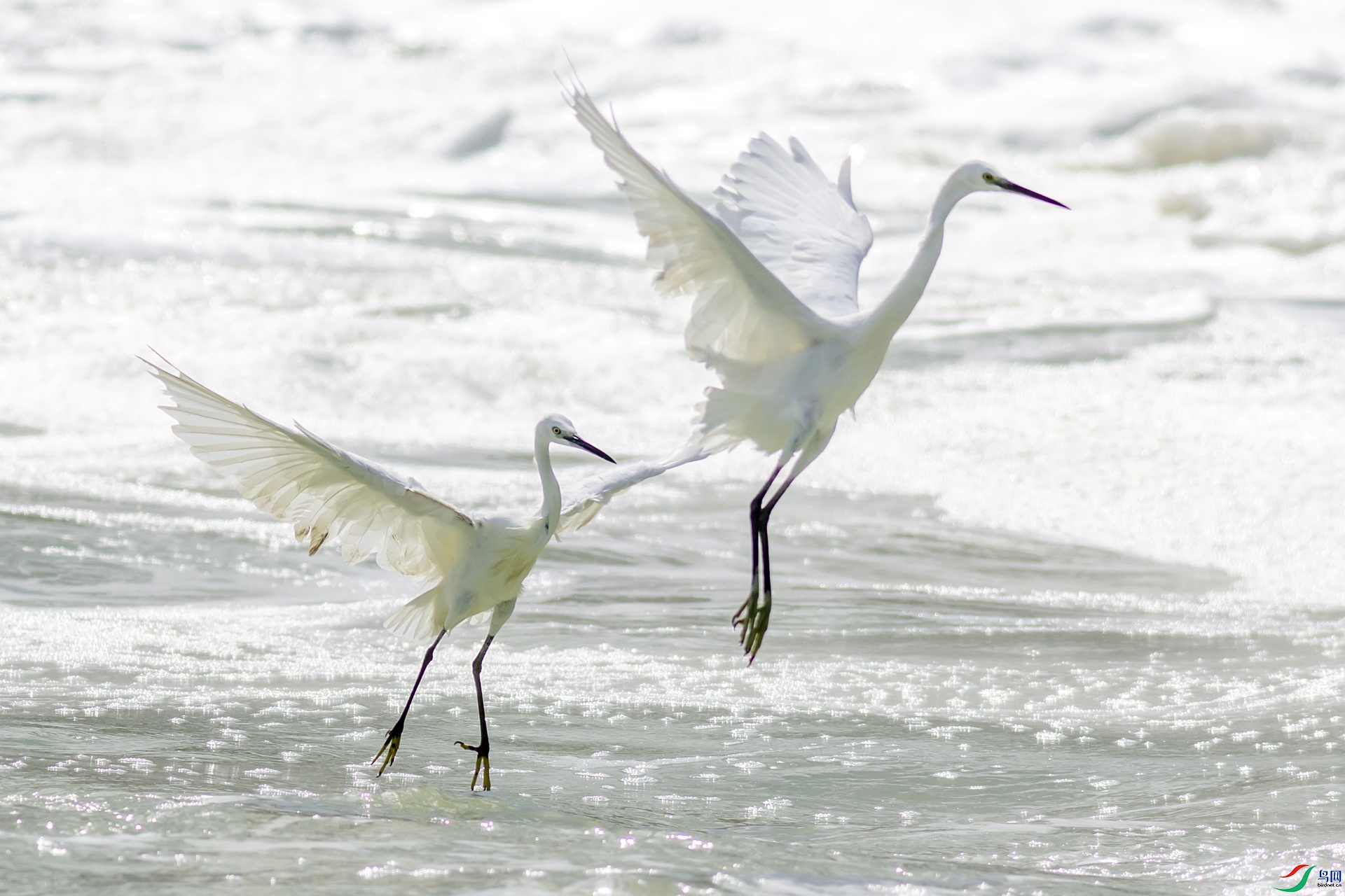 2H6A2959 ����_����.jpg