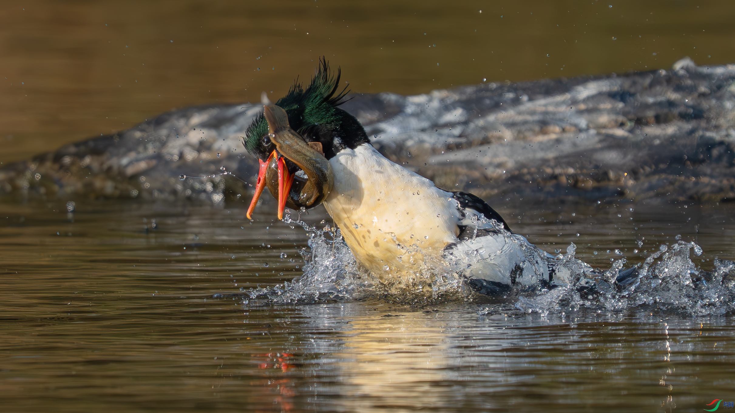 _DSC3344 ����.jpg