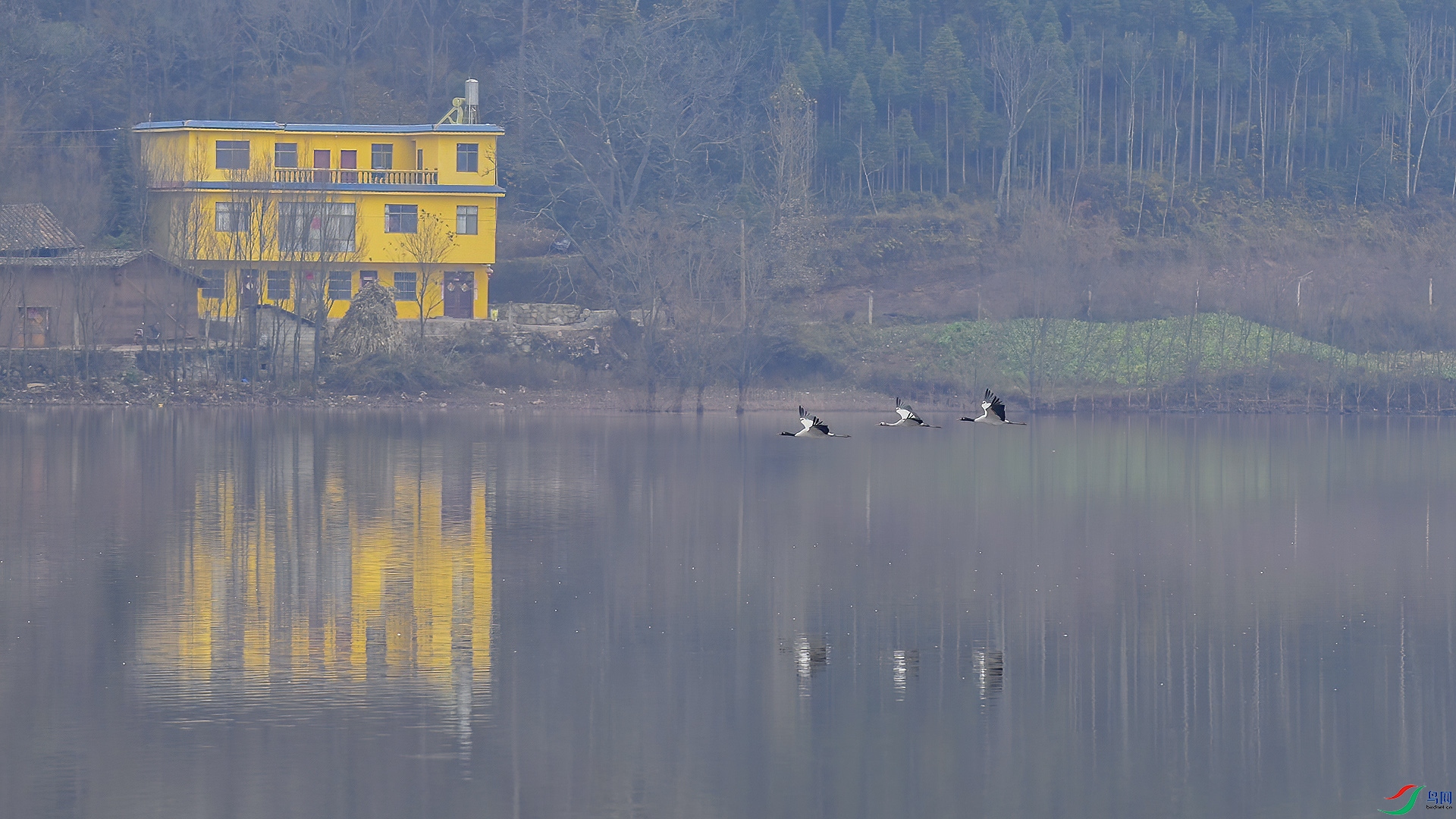 DSC_0n785.jpg