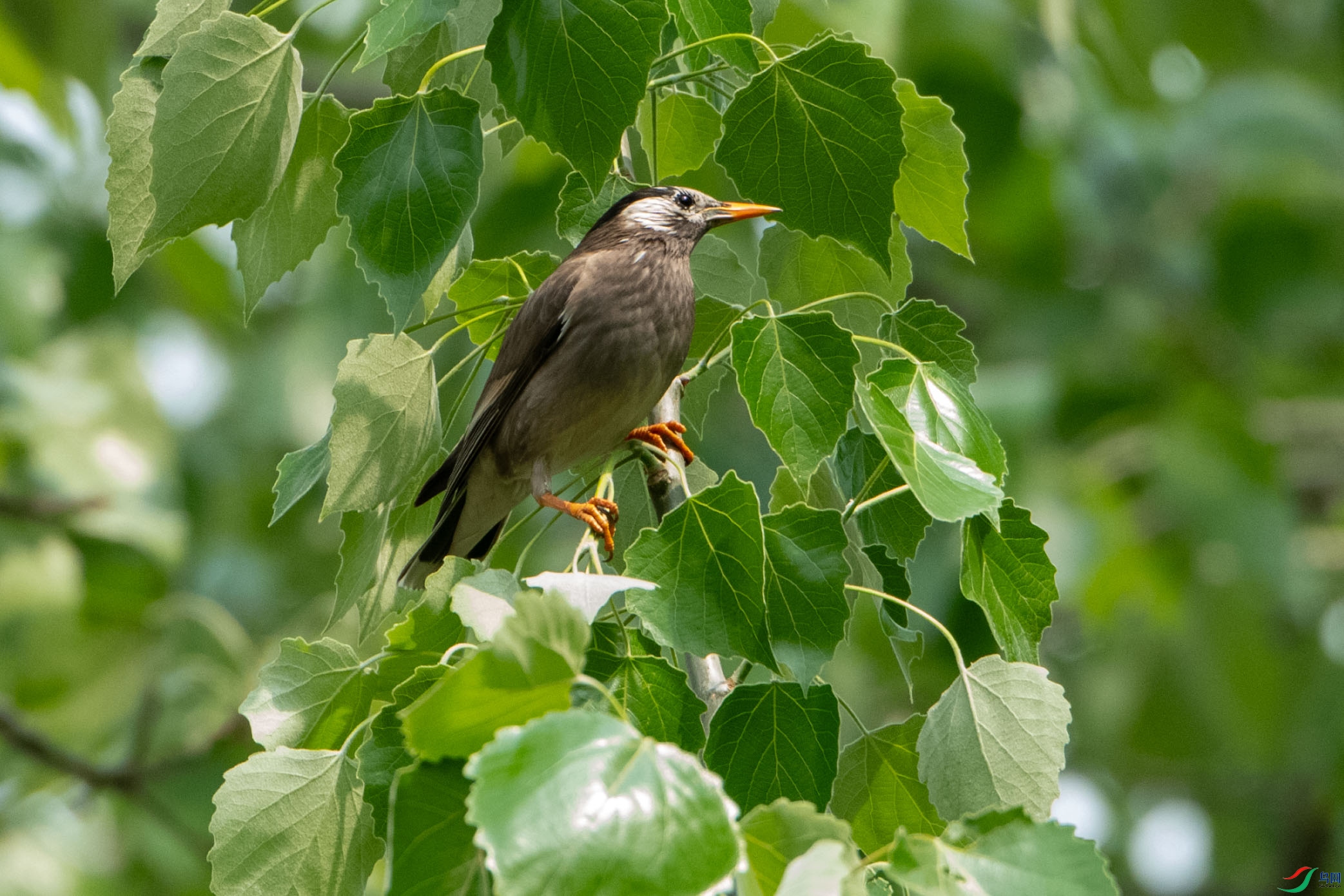 DSC_8728.jpg