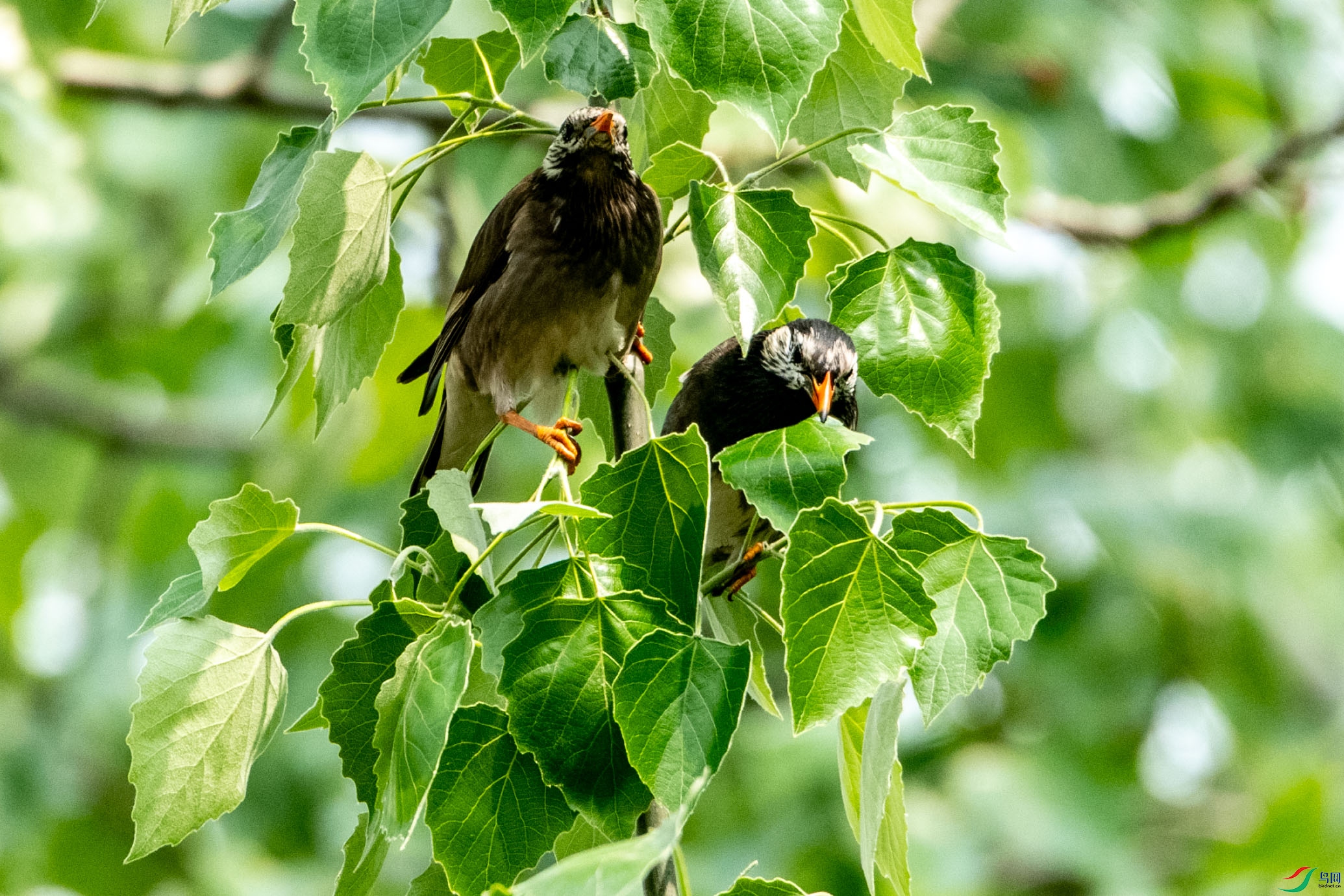 DSC_8776.jpg