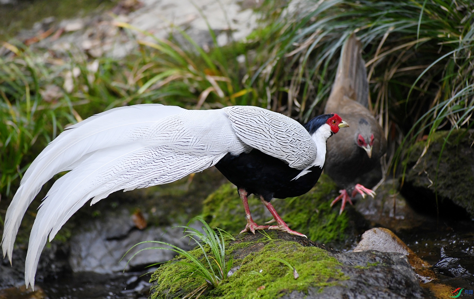 DSC_6124.jpg