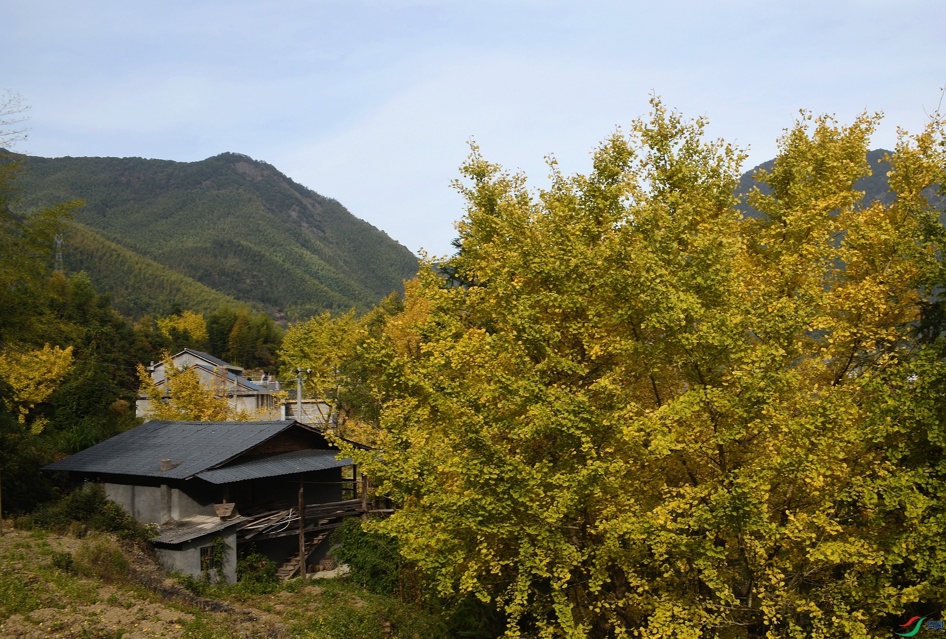 DSC_6861.jpg