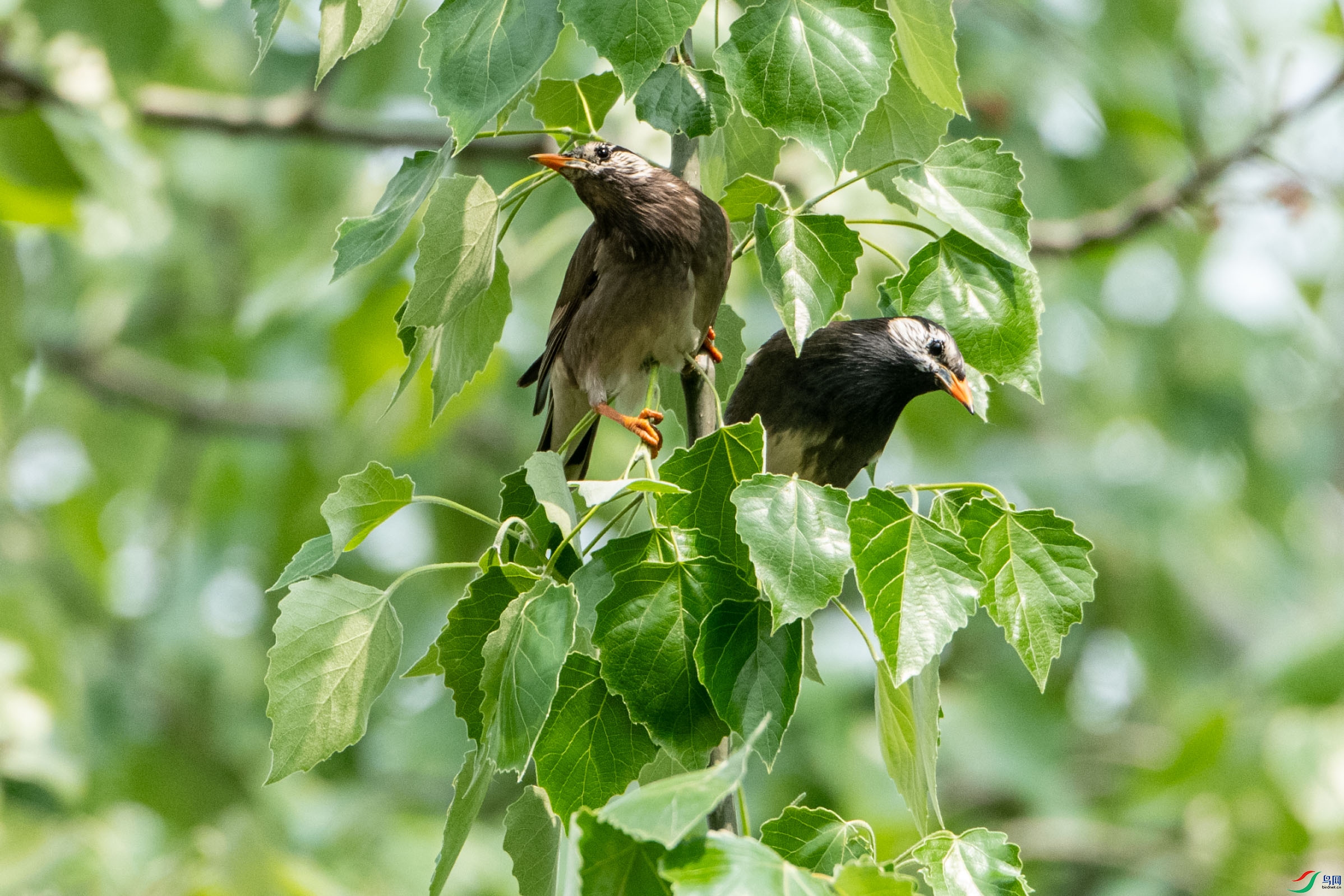 DSC_8782.jpg