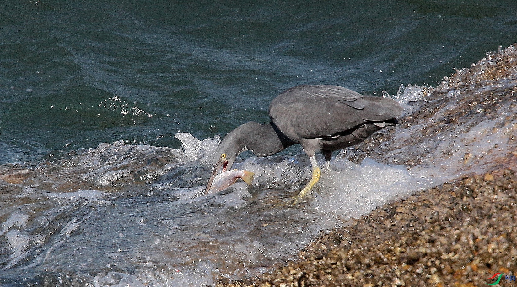 ˮ������