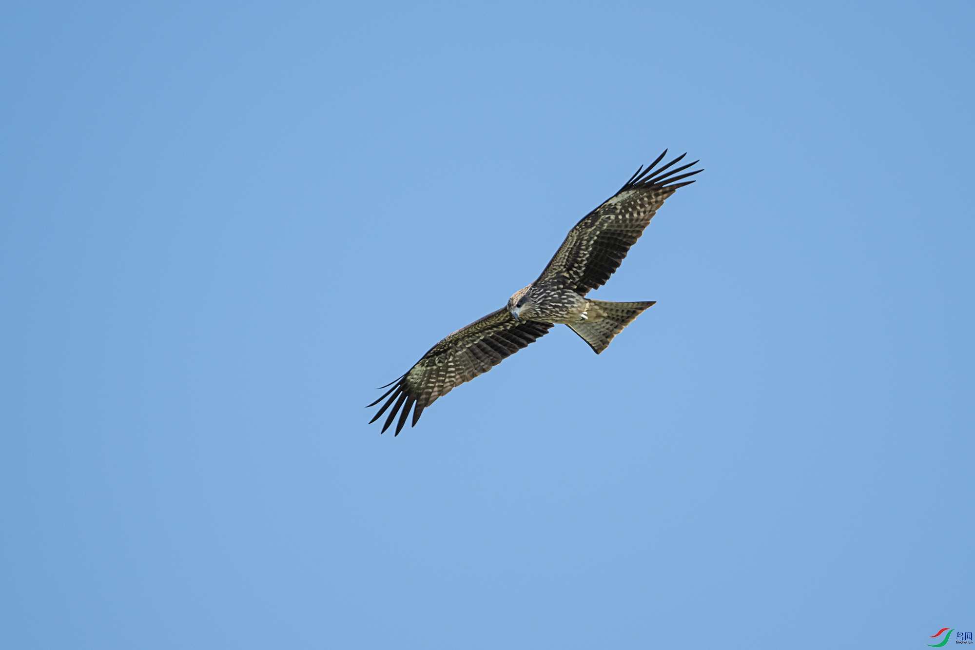 DSC_5813.jpg