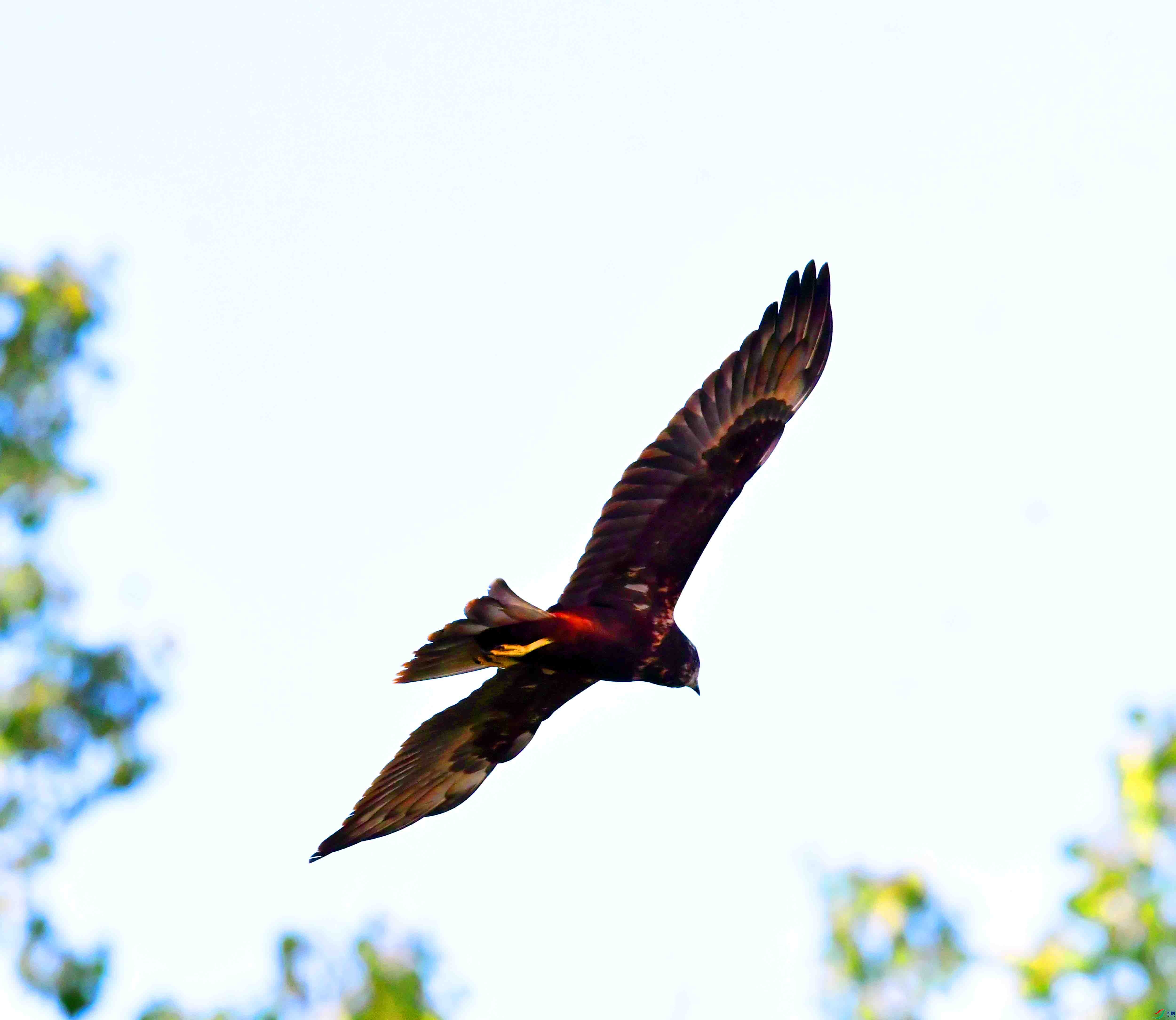 DSC_0320.JPG