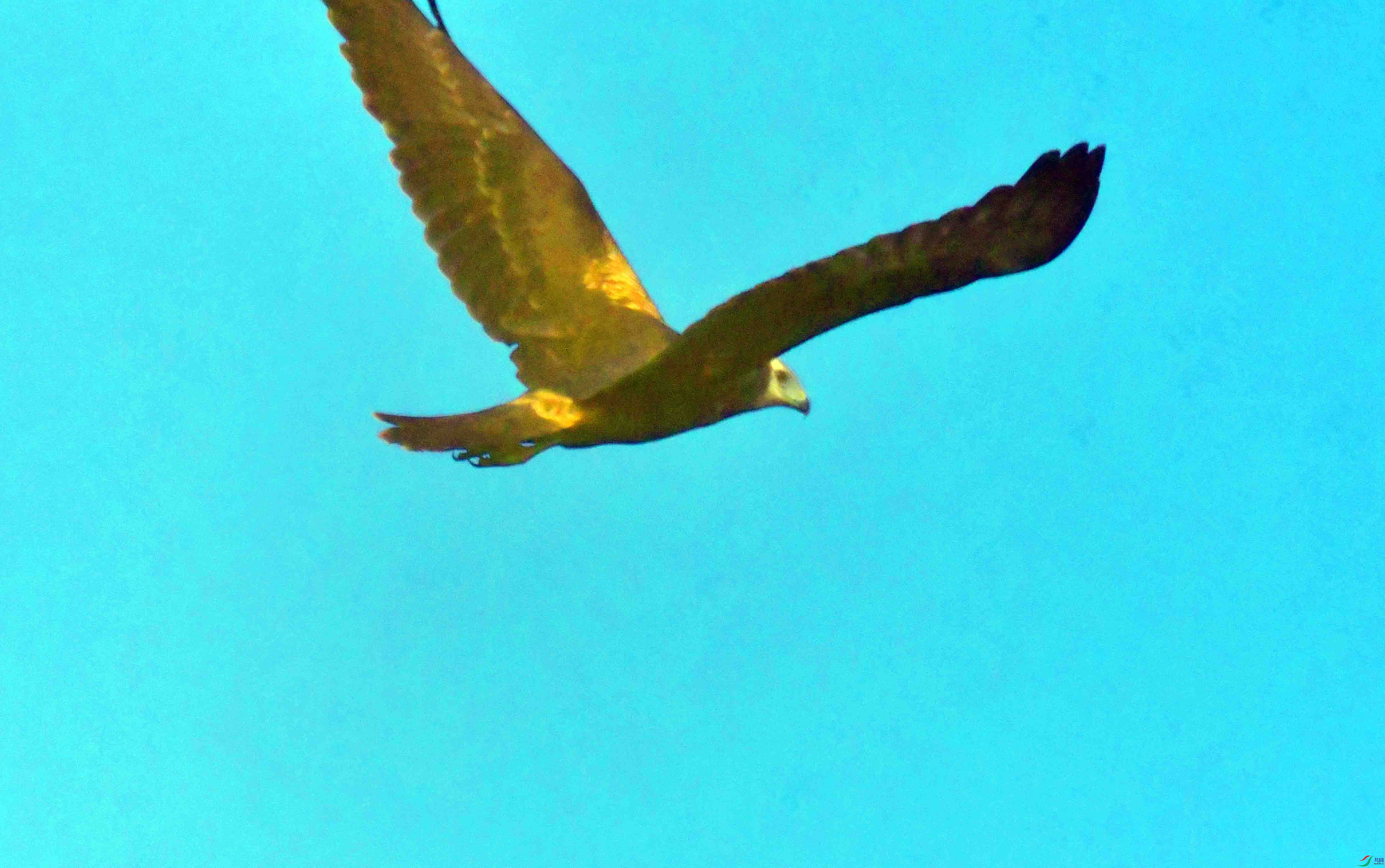 DSC_0341.JPG