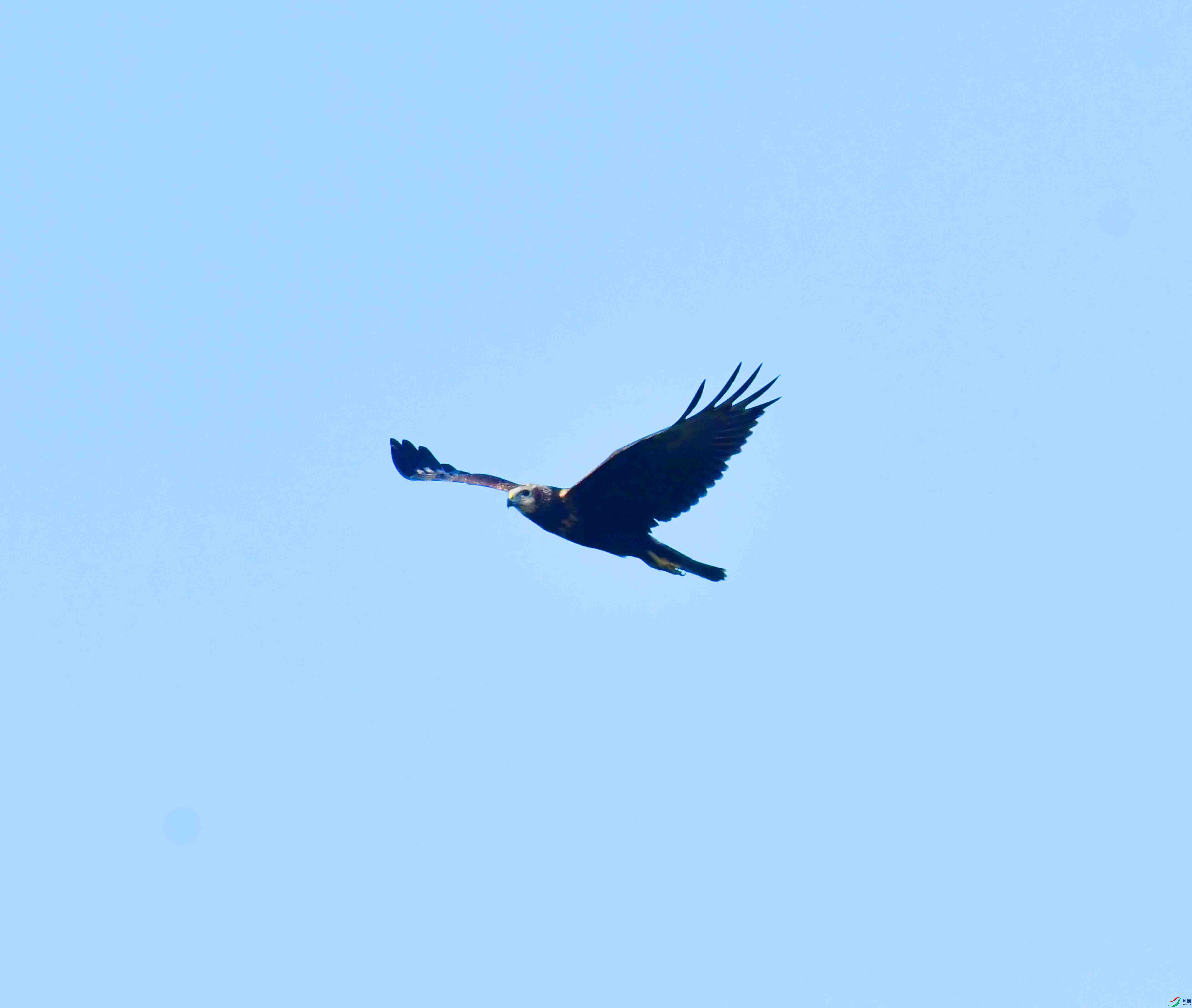 DSC_0347.JPG