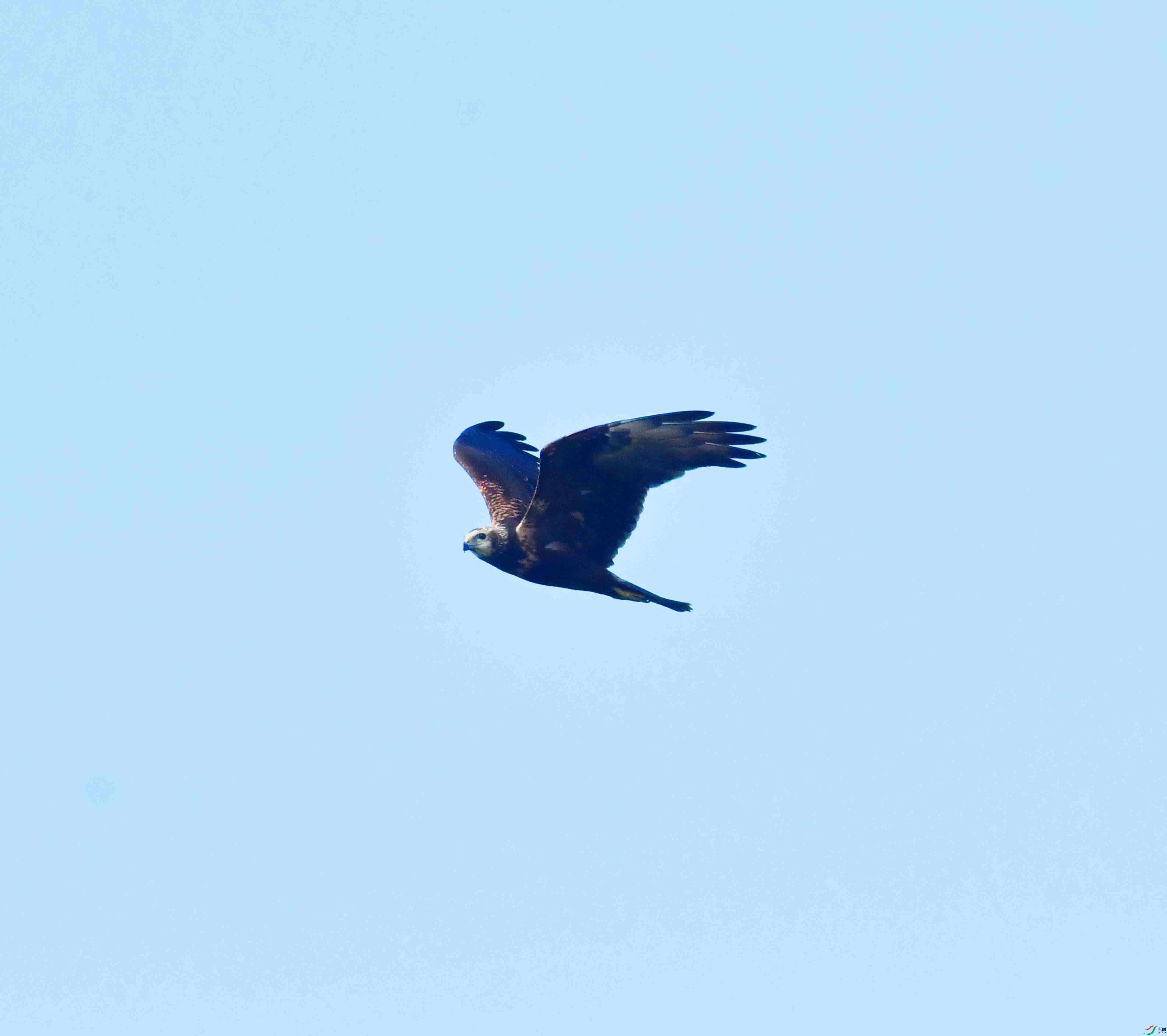 DSC_0346.JPG