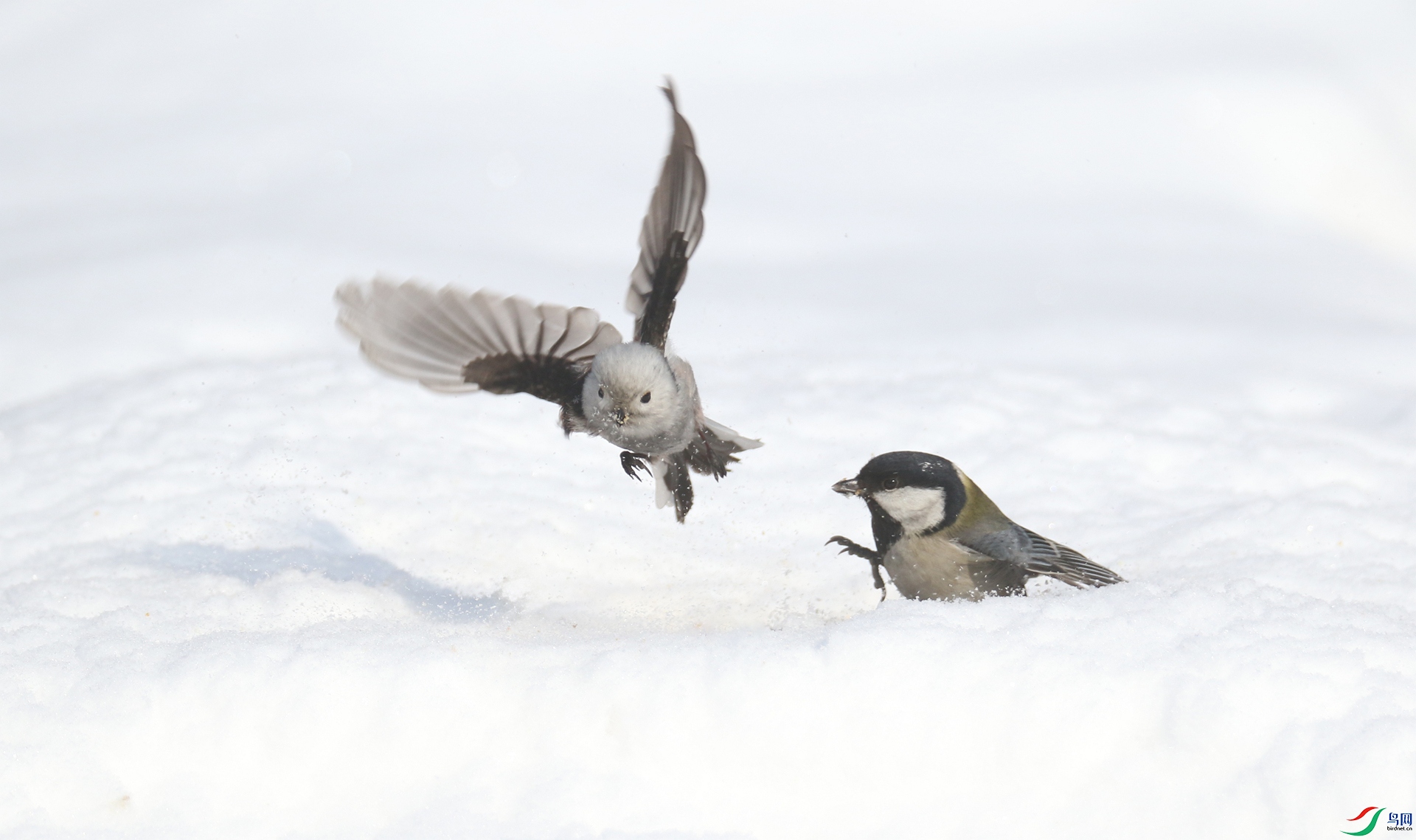 0G1A3383 ����.jpg