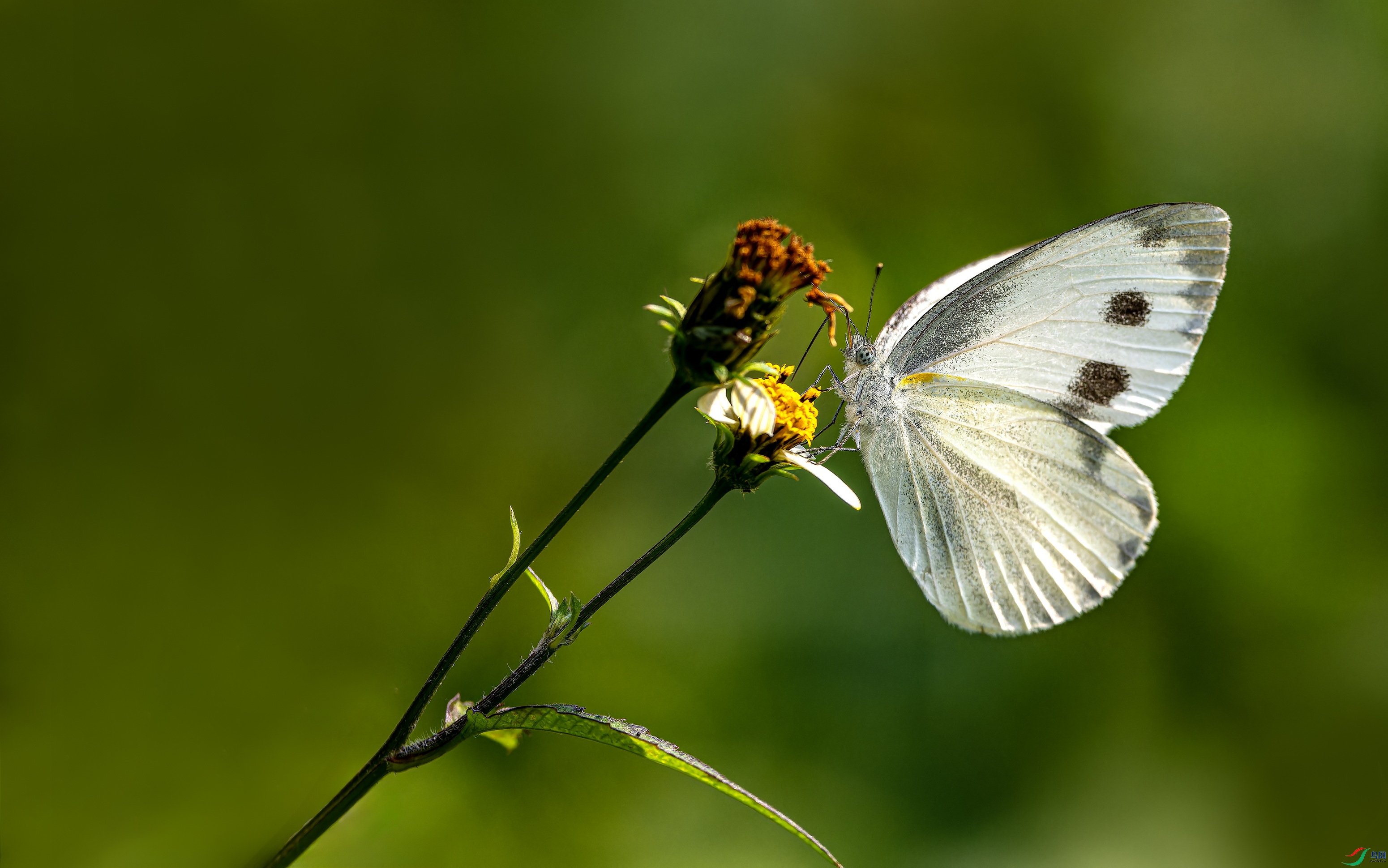 �˷۵� (2)-01.jpg